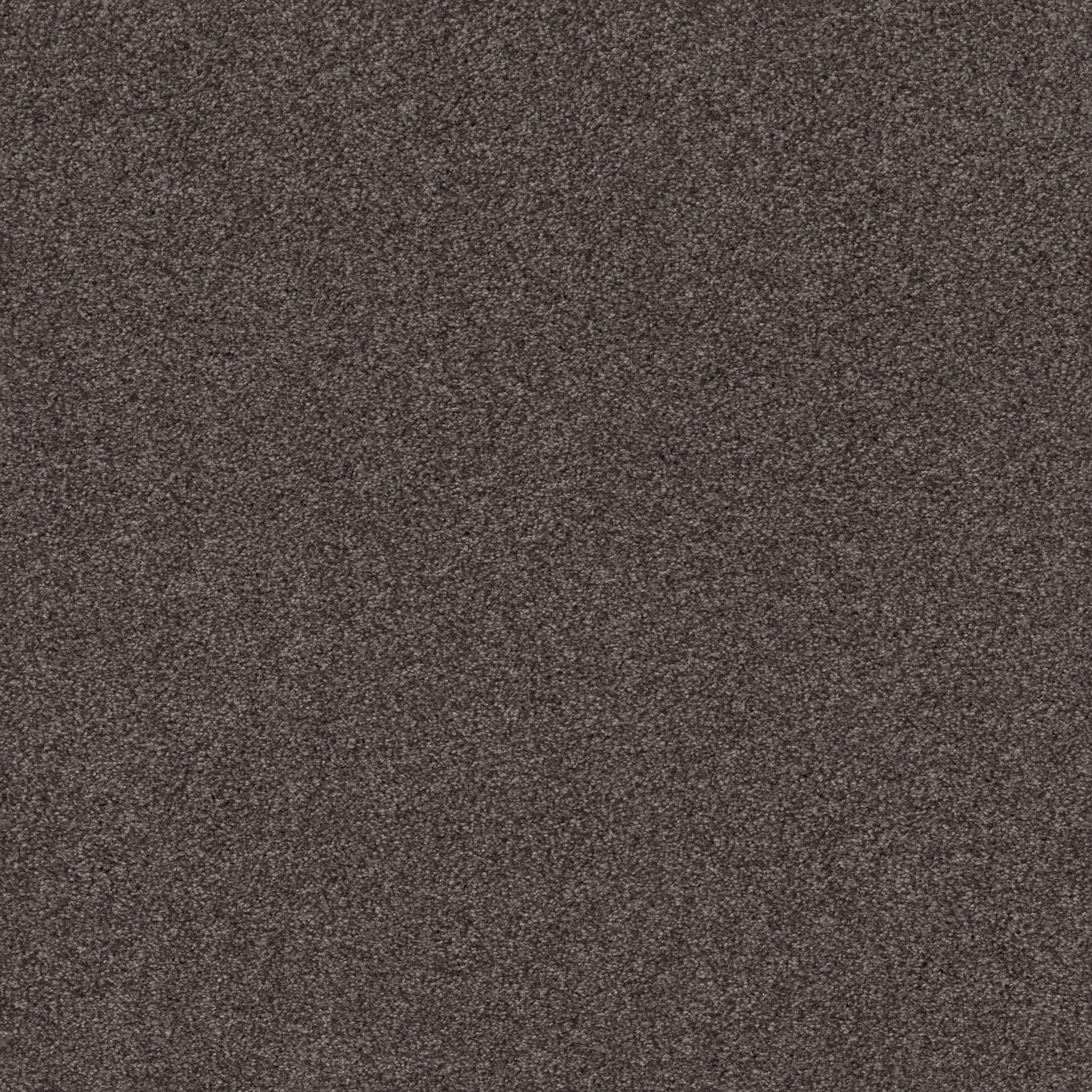 COZY HARBOR II BURMA BROWN MAIN