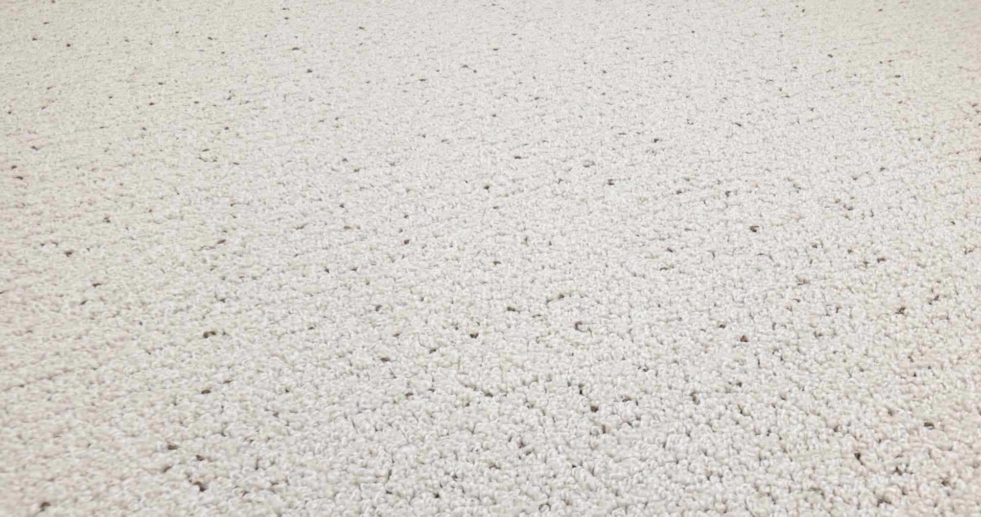 Intricate Trace RIVER BIRCH 360PROD