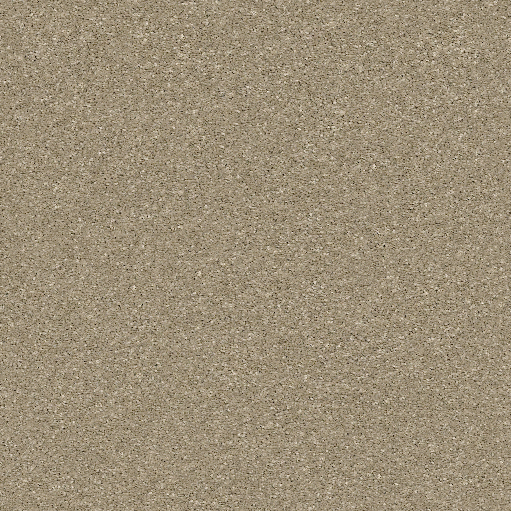 BASIC RULES KHAKI MAIN