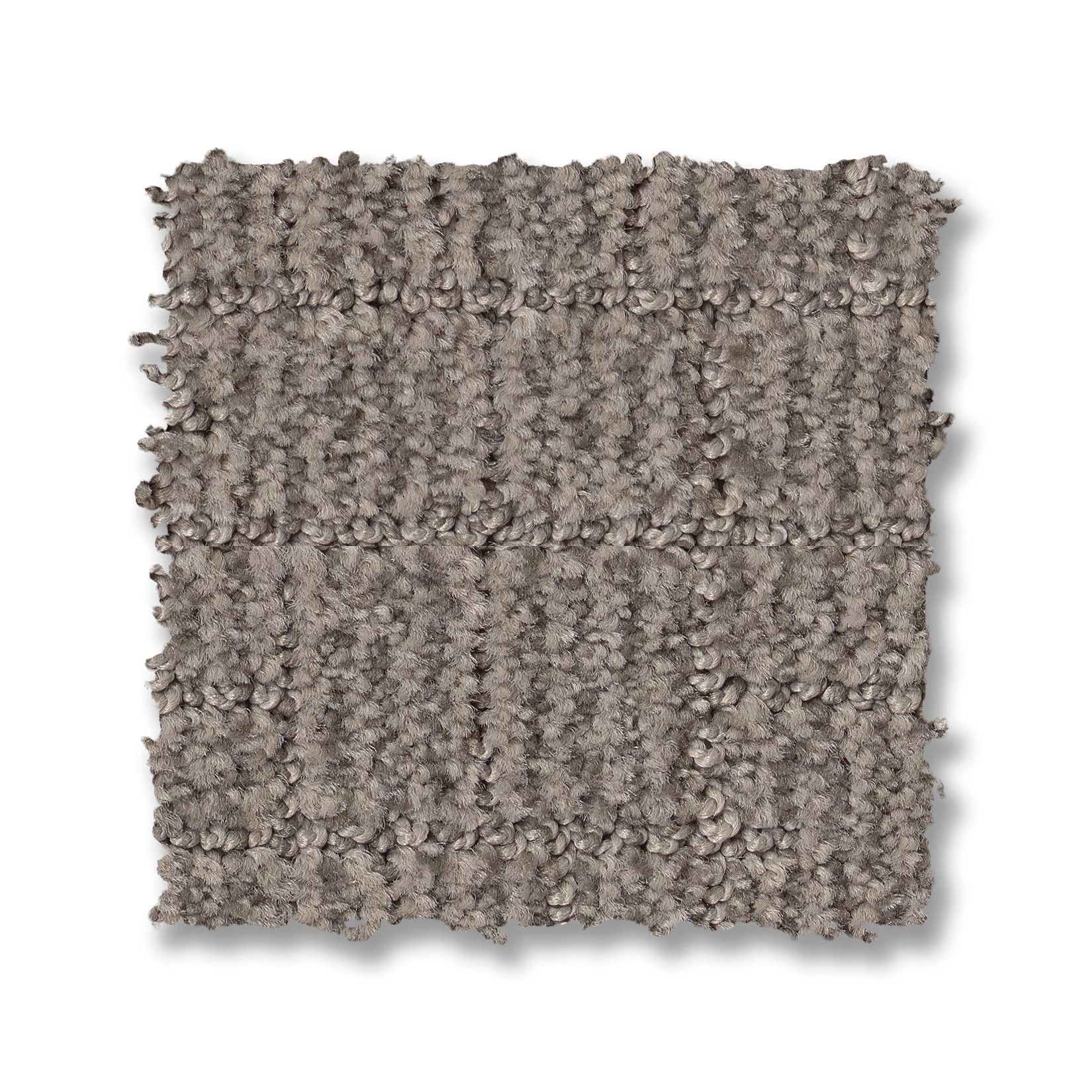 WAYFARER CALM SWATCH