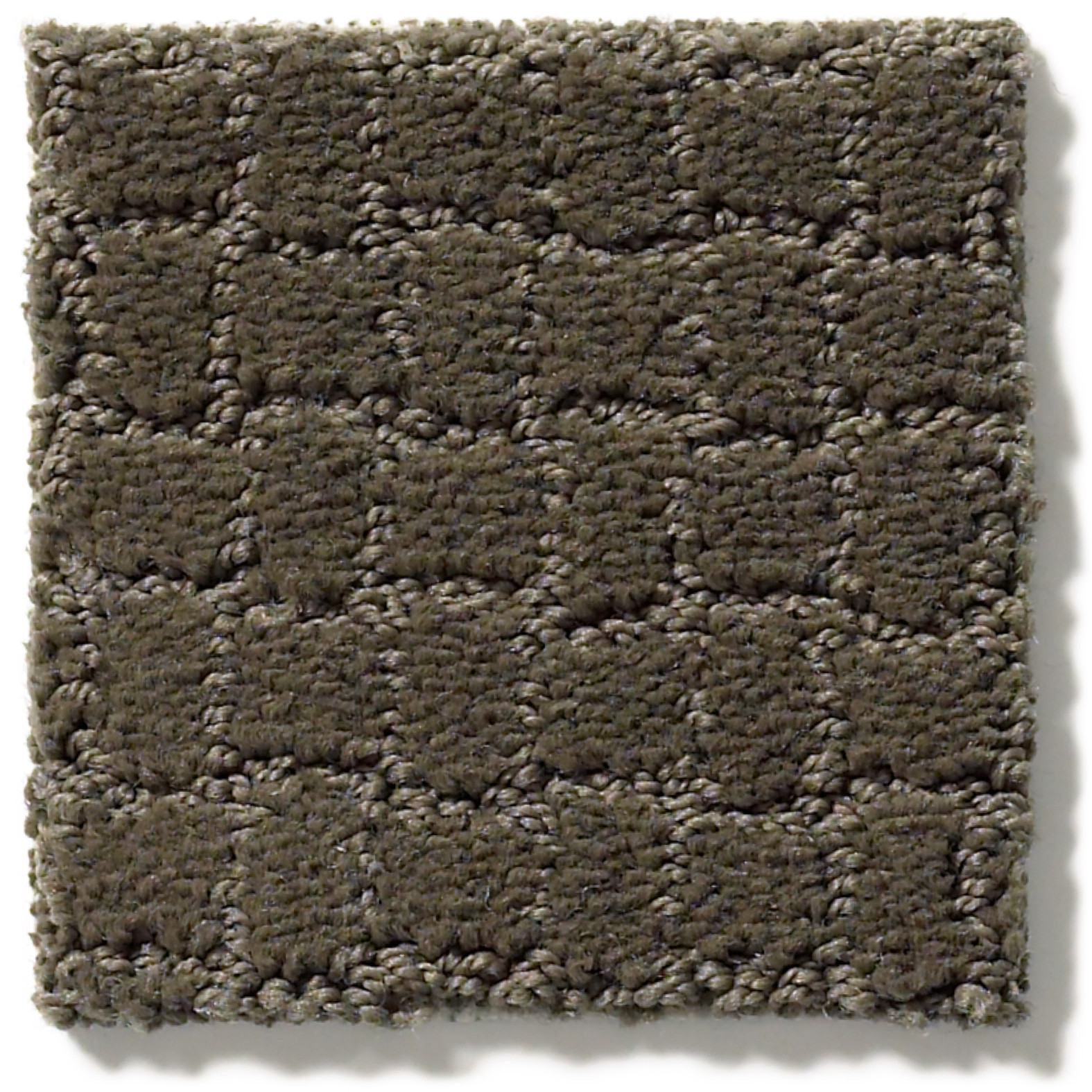 PAWSTRUCK OVERCOAT SWATCH