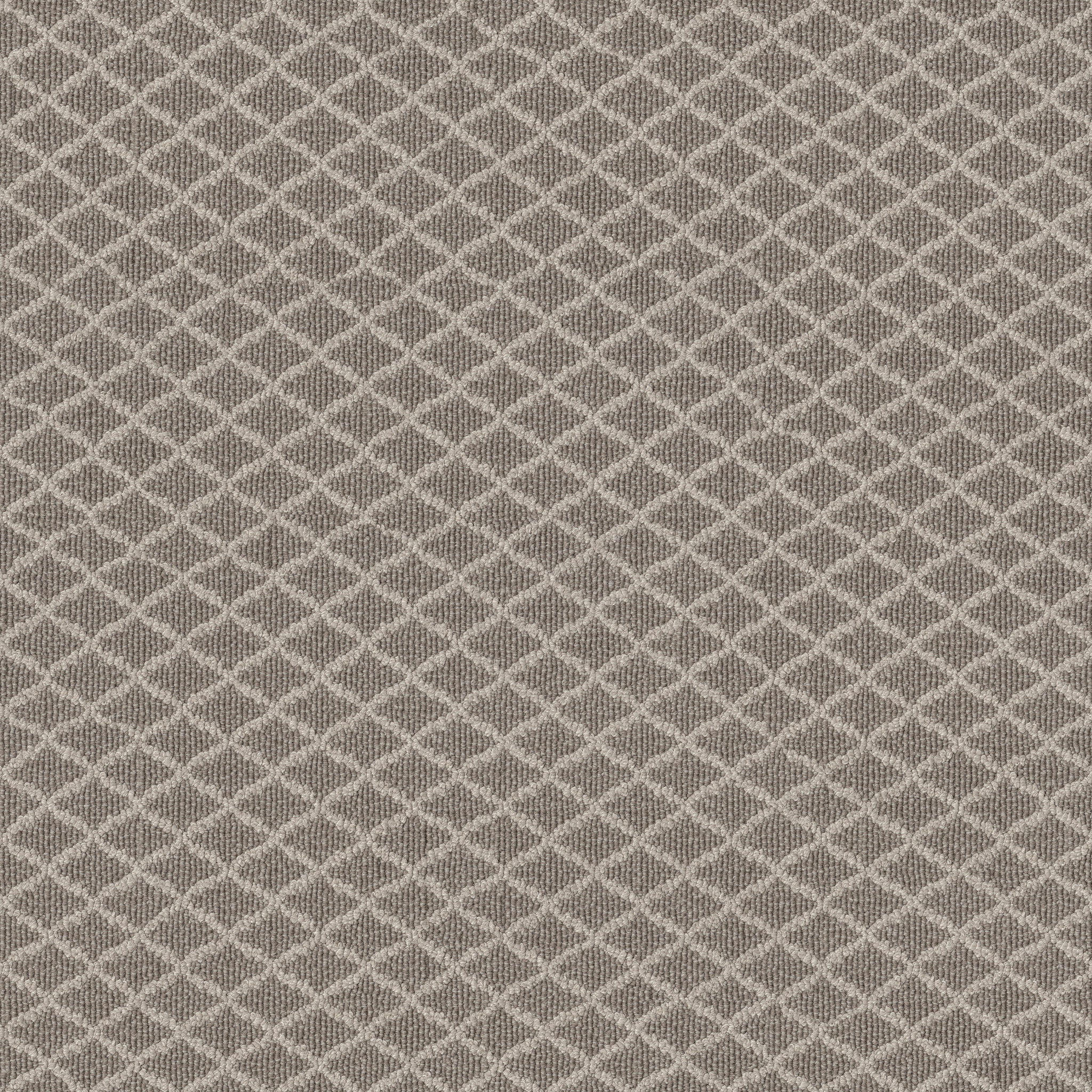 SPRINGER'S POINT SHORELINE MAIN