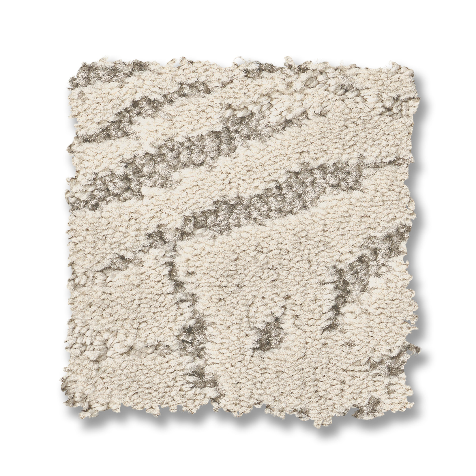 AUTOGRAPH ELEGANCE SWATCH