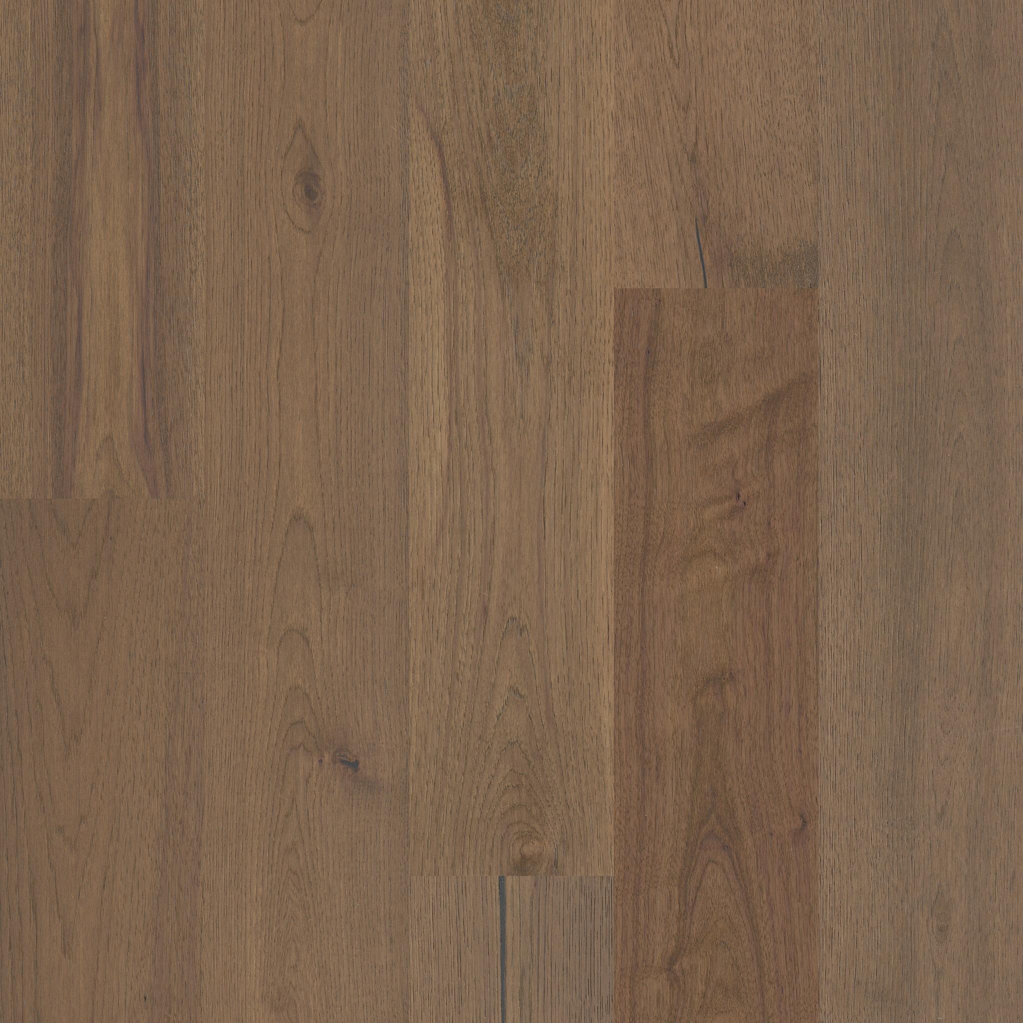 Argonne Forest Hickory by Shaw Floors