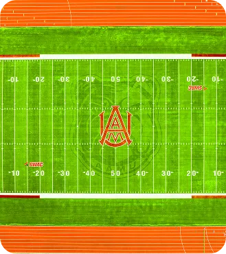 Shaw Sports Turf project featuring a vibrant green field with custom end zone graphics and crisp white yard lines.