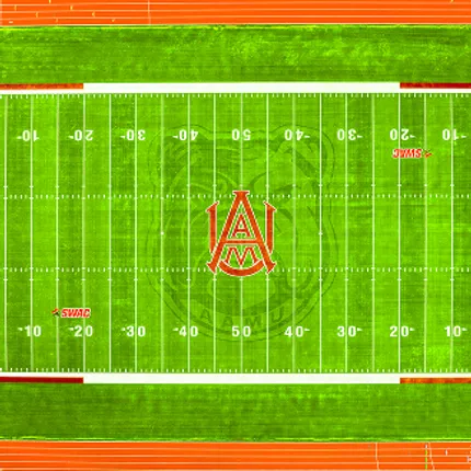 Custom Football Field by Shaw Sports Turf Shaw Sports Turf project featuring a vibrant green field with custom end zone graphics and crisp white yard lines.