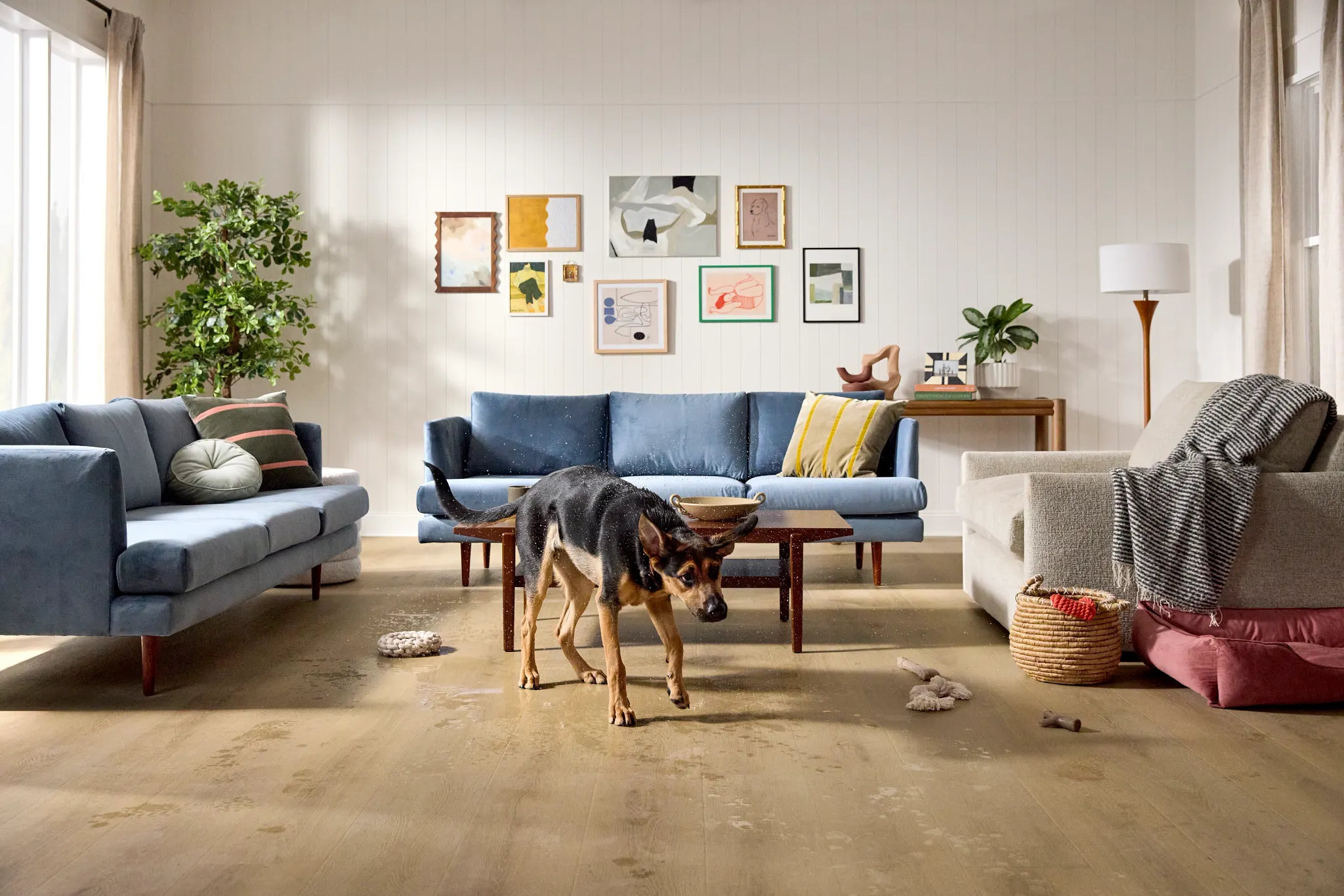 Modern living room with brown sofa and stylish kitchen featuring wood-look flooring
