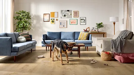 Contemporary wood-look flooring for elegant home interiors Modern living room with brown sofa and stylish kitchen featuring wood-look flooring