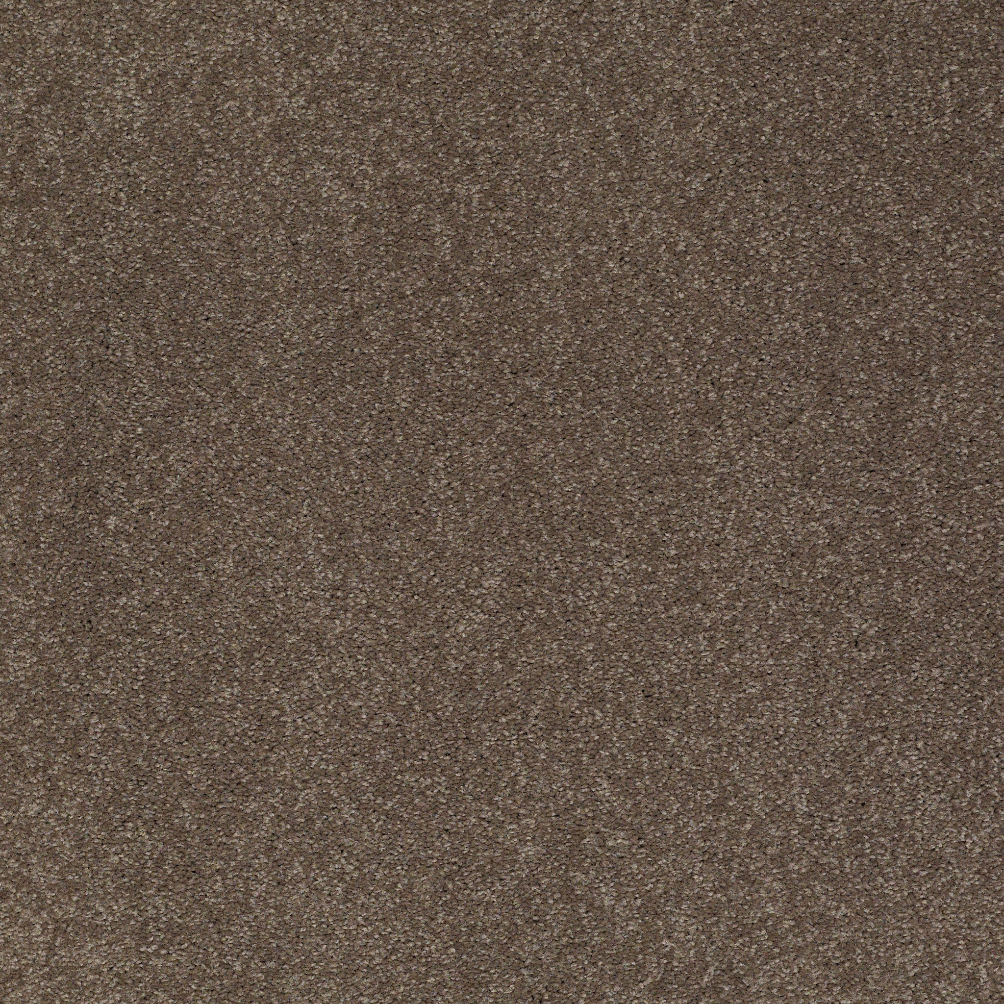 SHINGLE CREEK II 15 CASTLE ROCK MAIN