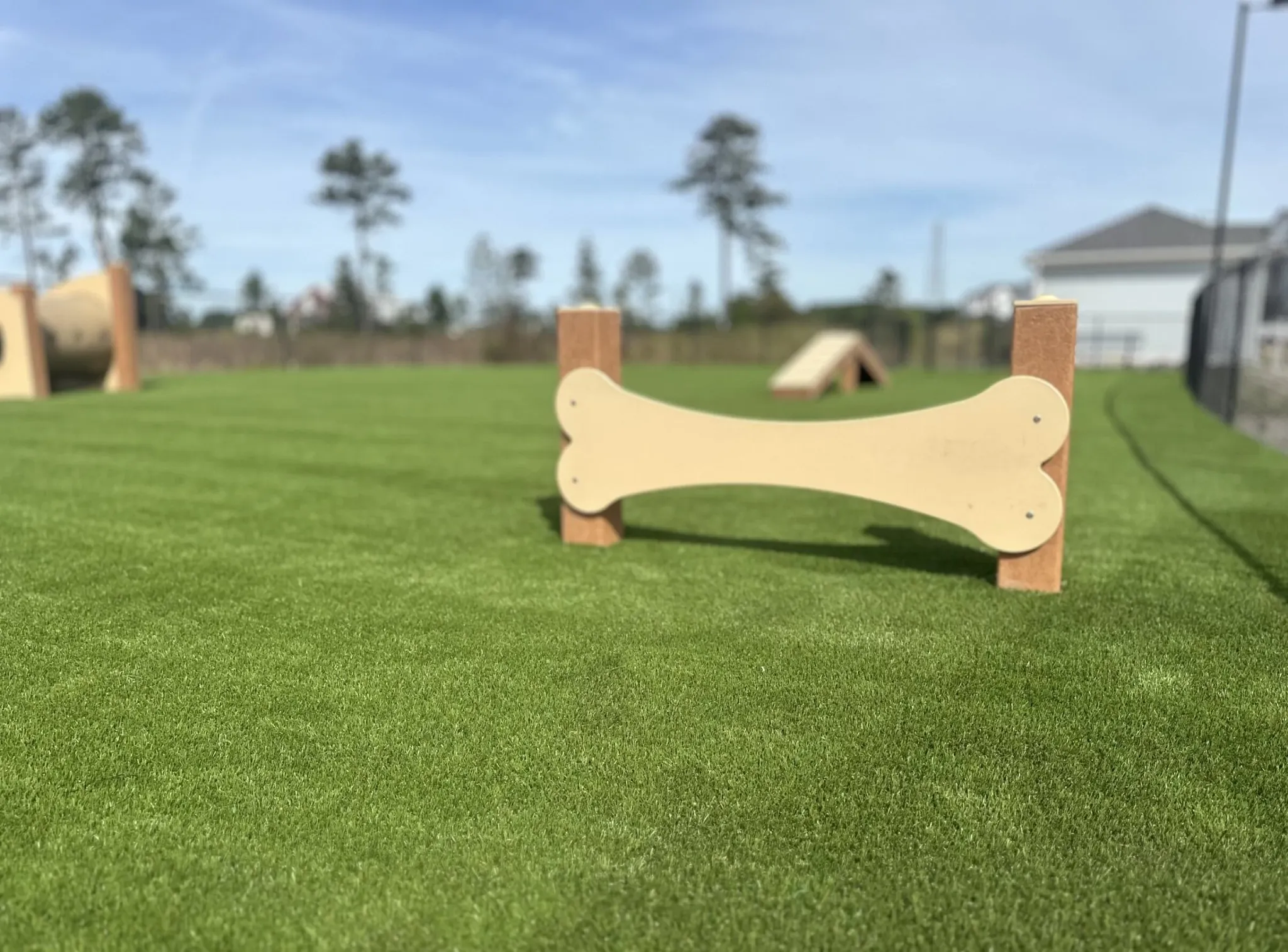 Artificial grass in outdoor dog park with agility equipment