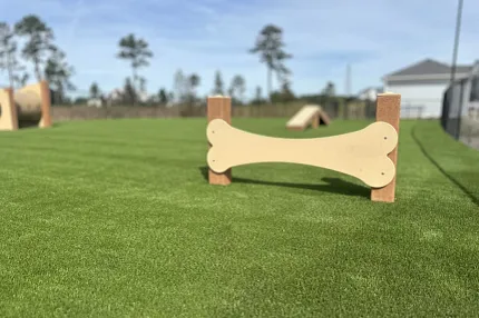 Durable artificial turf for pet-friendly spaces Artificial grass in outdoor dog park with agility equipment