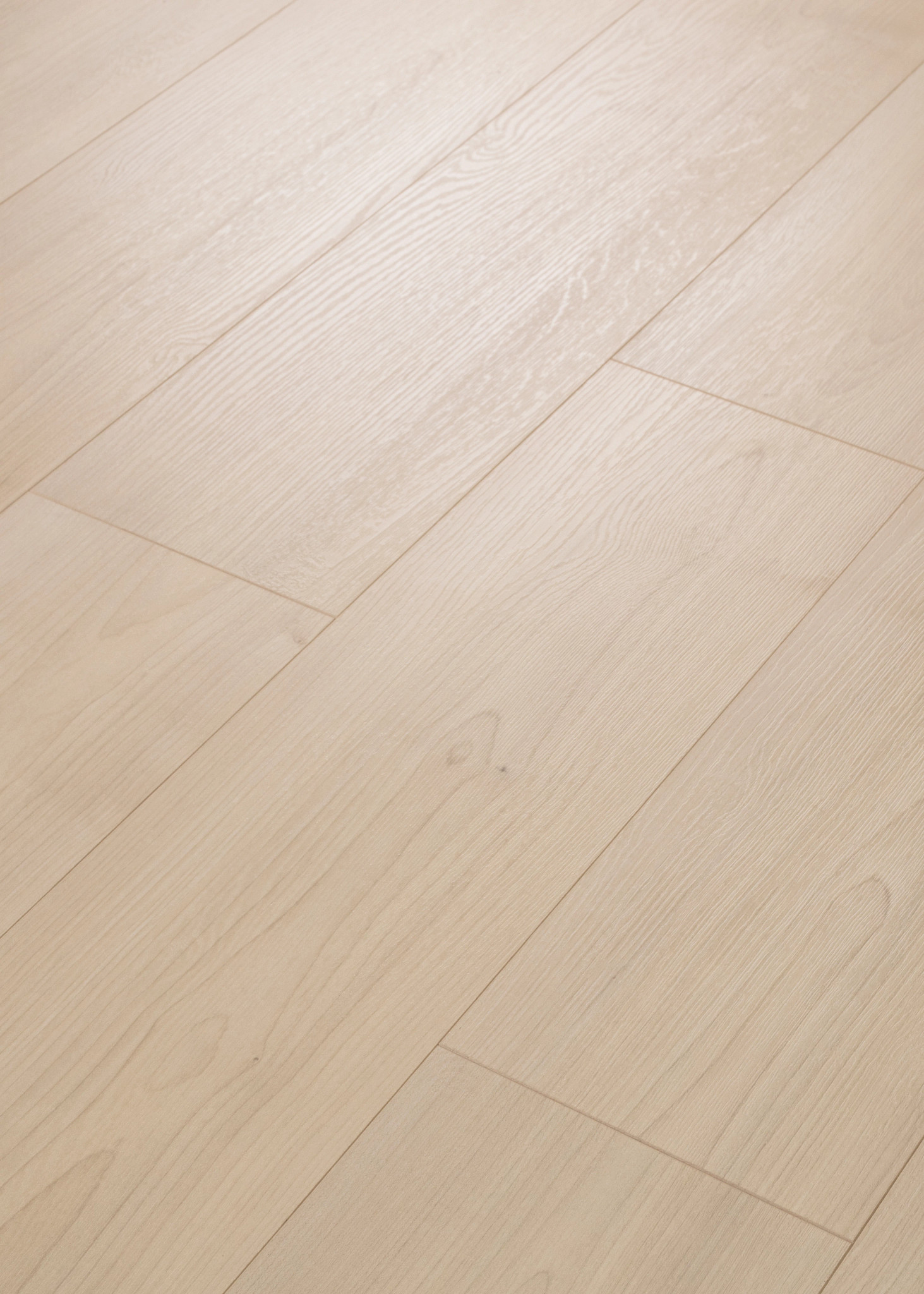 MAUNA MANOA OAK ANGLED