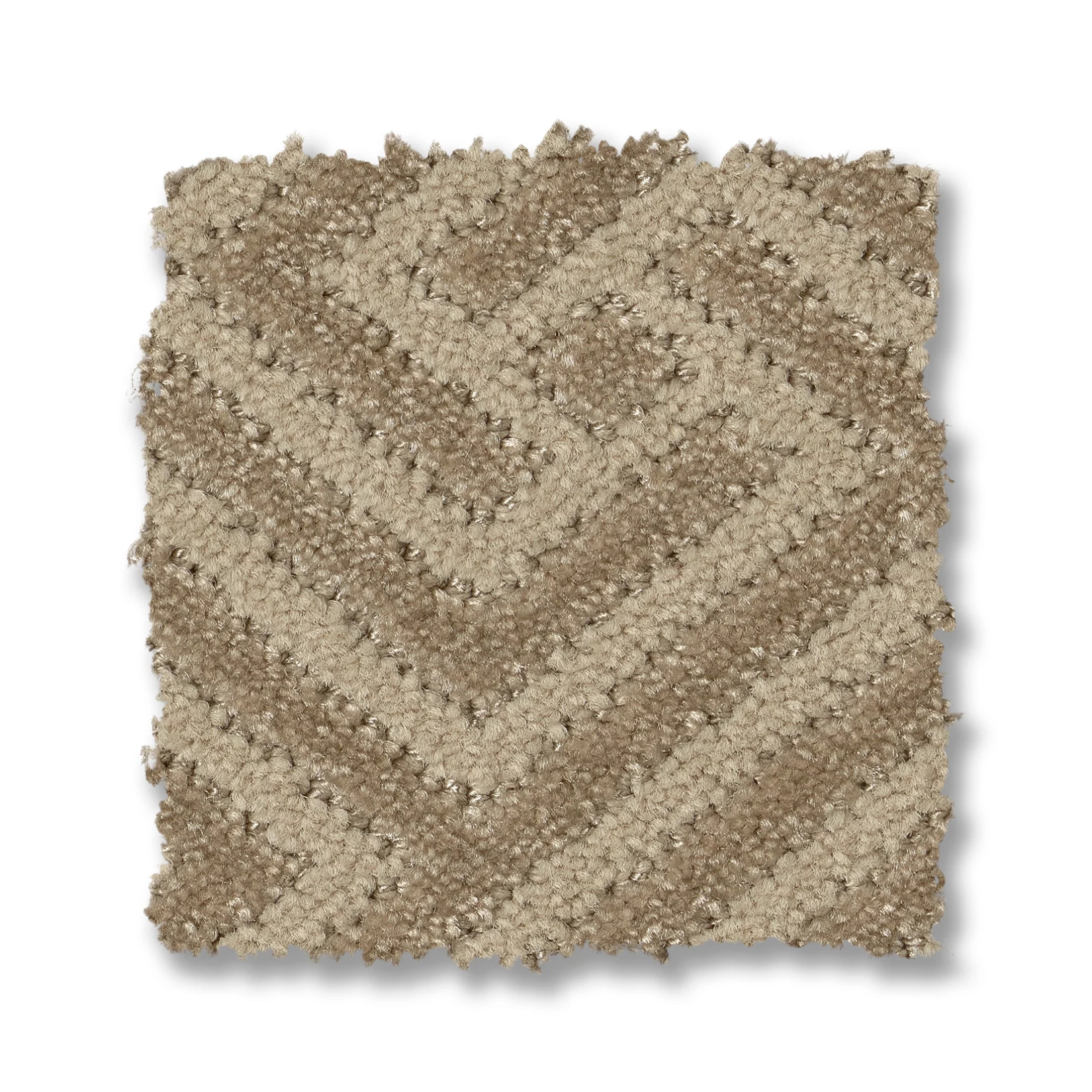 ARTIFACT BIRCHWOOD SWATCH