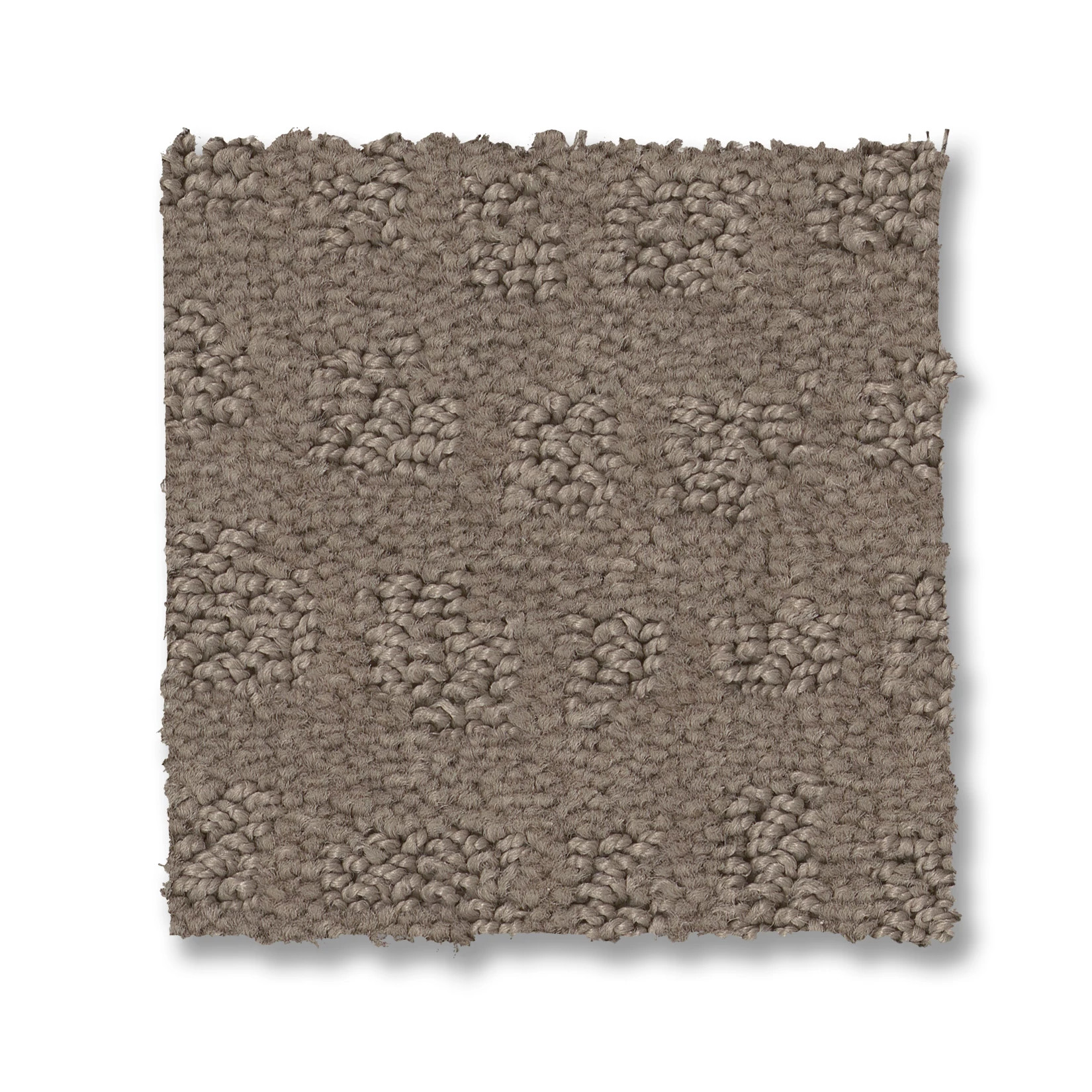 SOLSTICE SHITAKE SWATCH