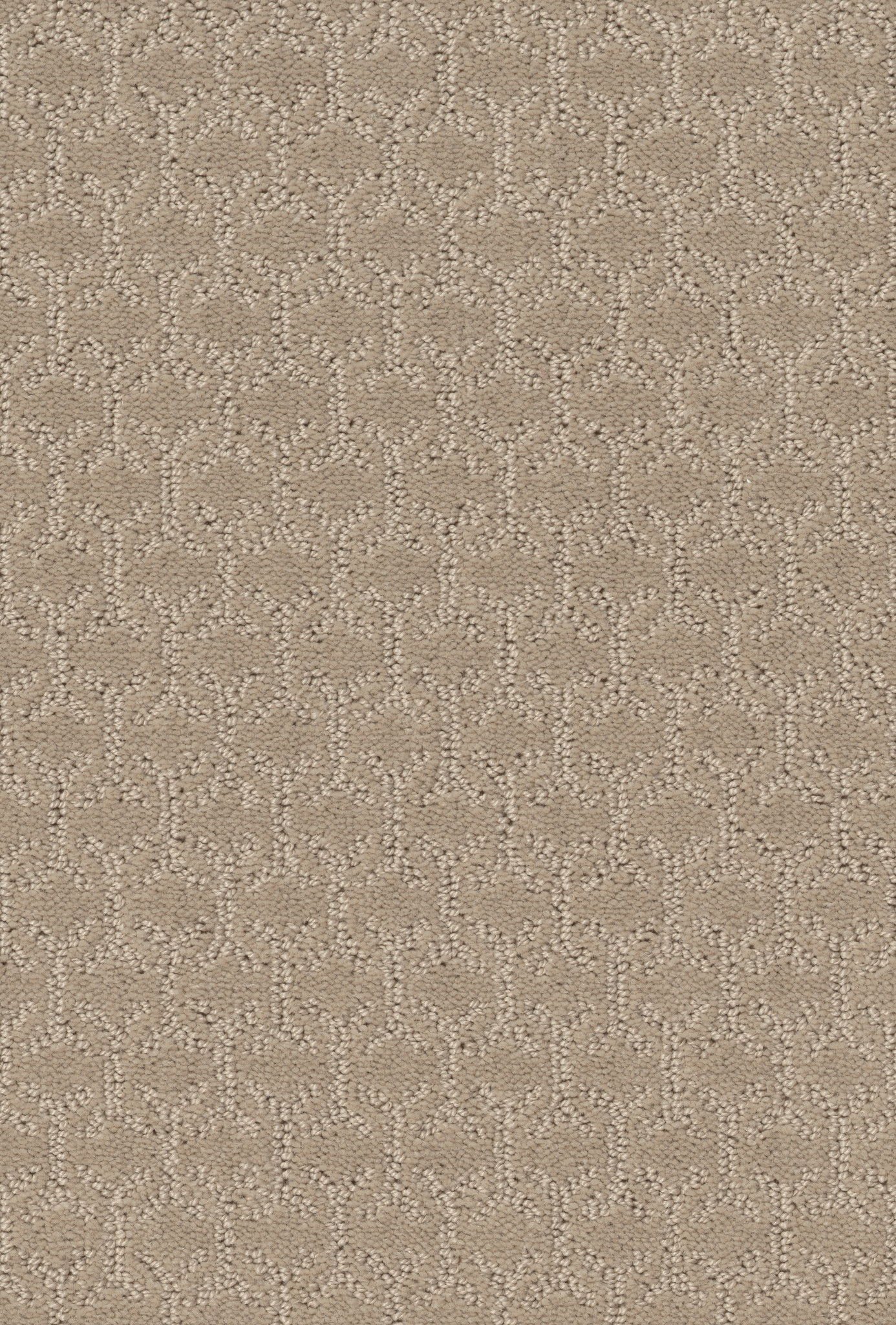 VALID NATURE WALK MAIN