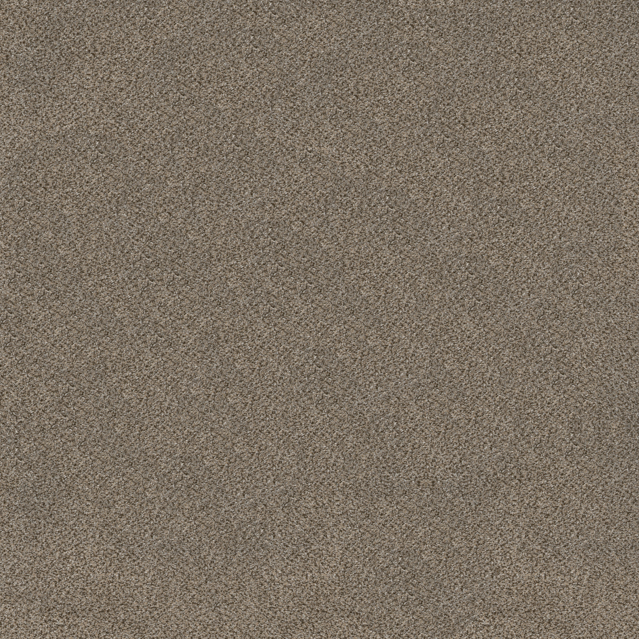 TruSplendor TRUFFLE MAIN