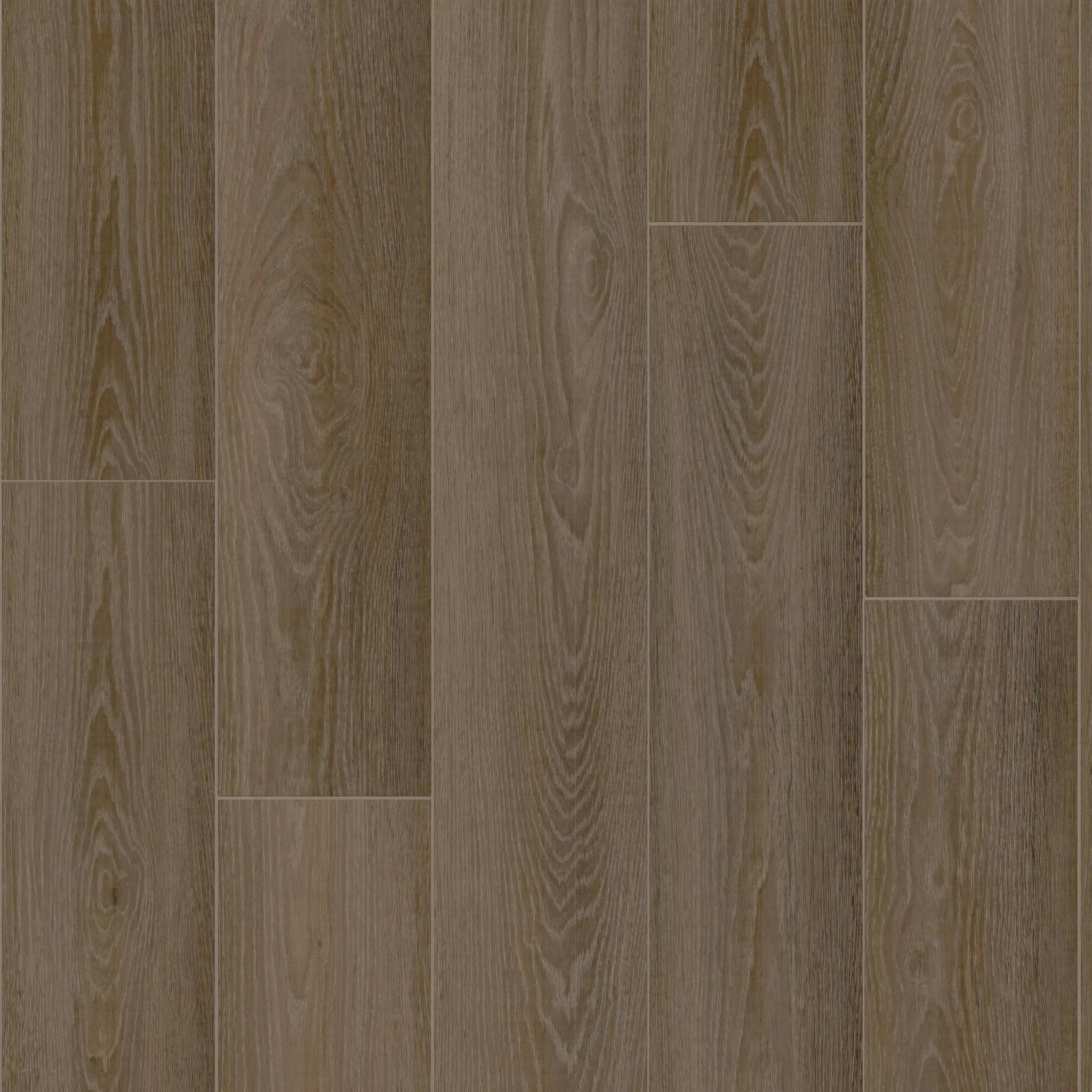 Ambition by Shaw Floors