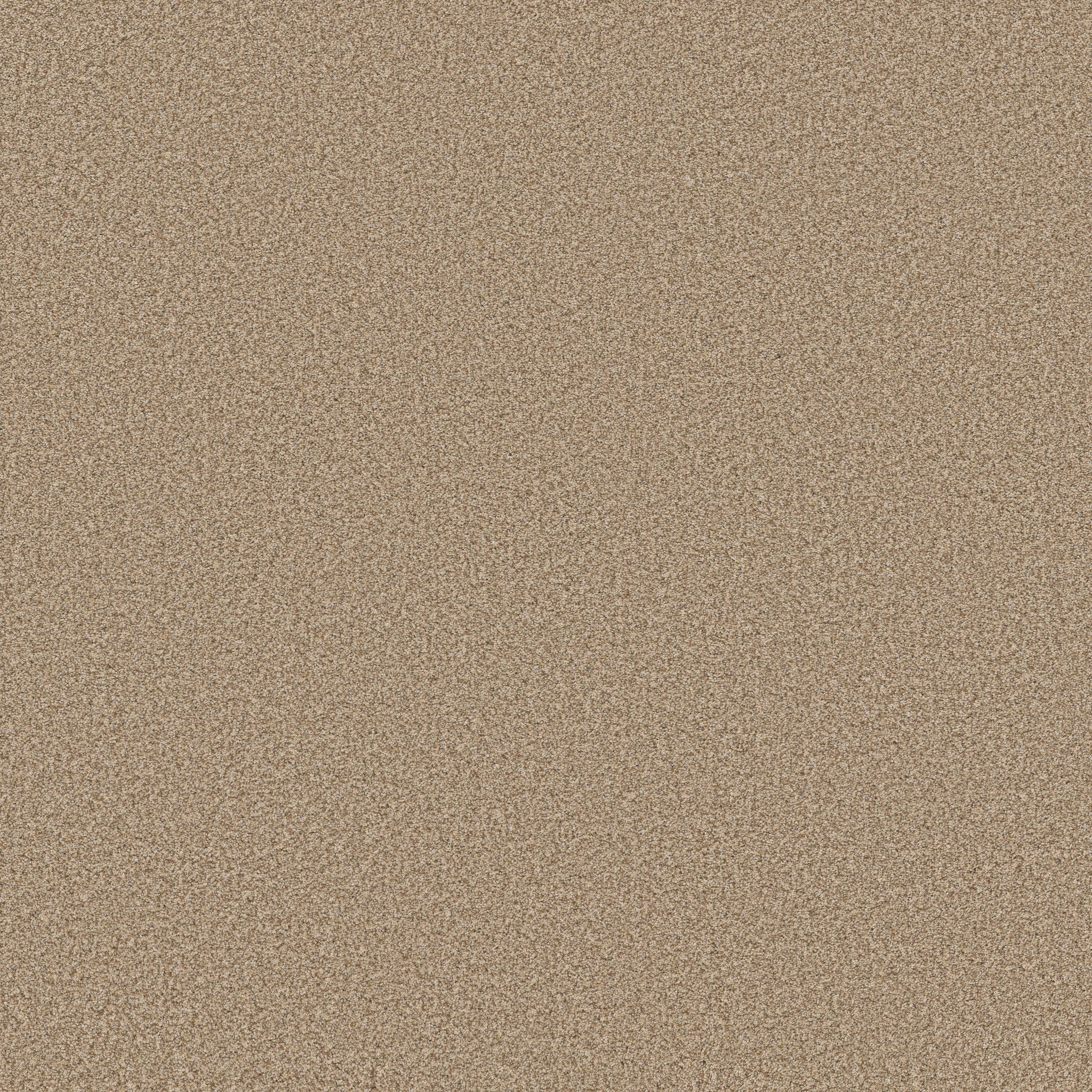 SOMERSET GOLDEN MAIN