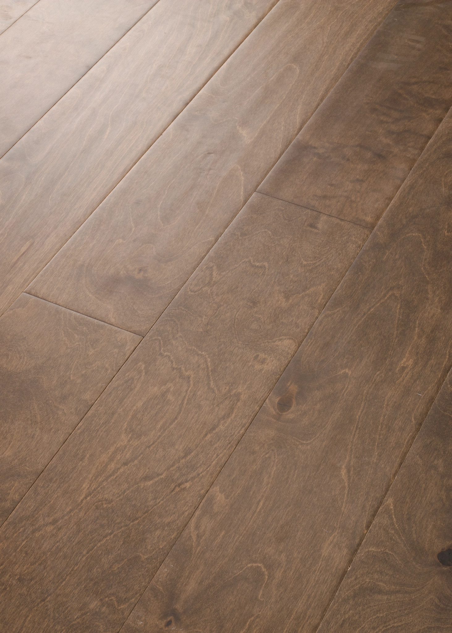 BISCAYNE BAY LOW TIDE ANGLED