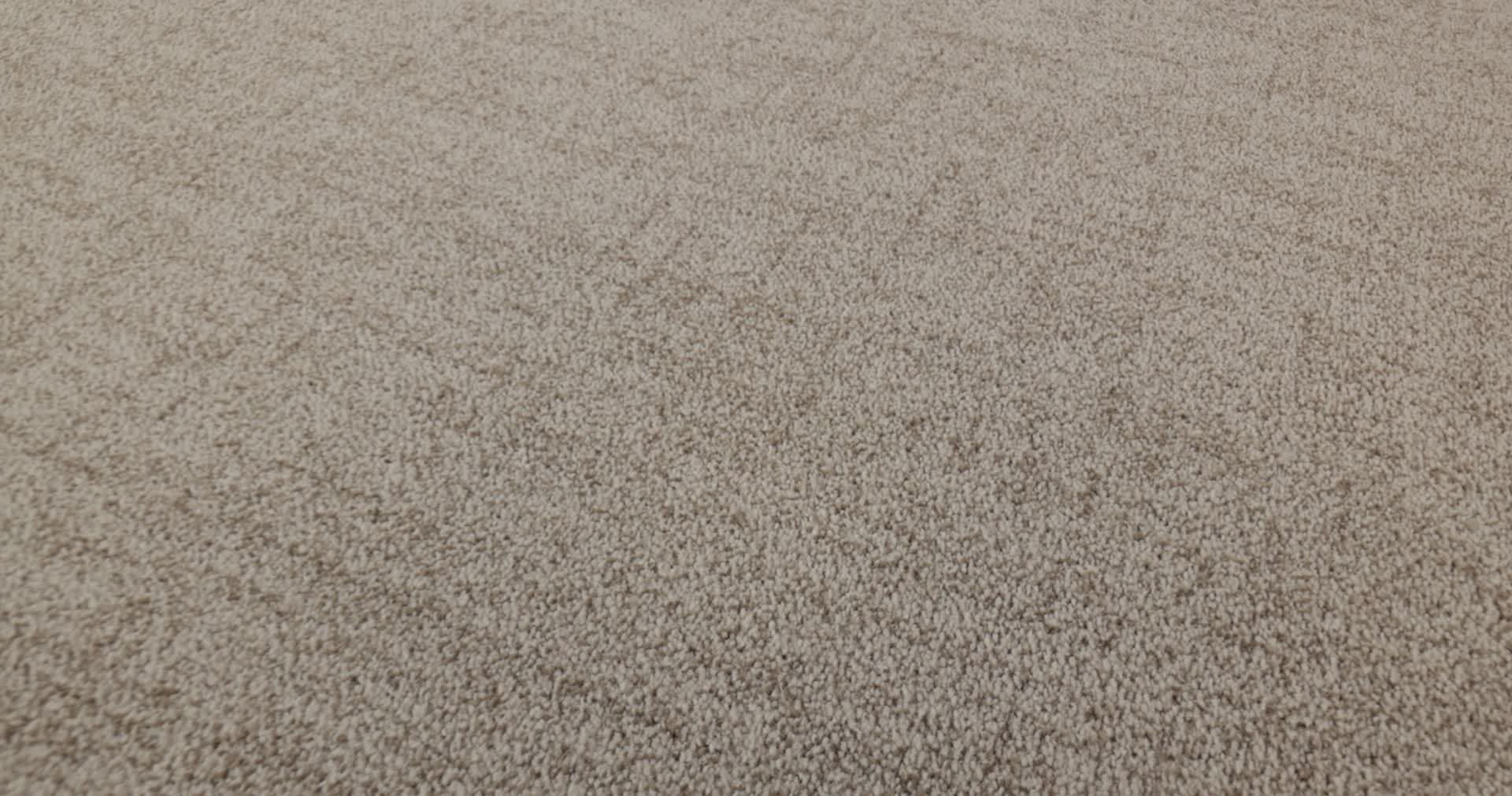 SILHOUETTE MUSHROOM 360PROD