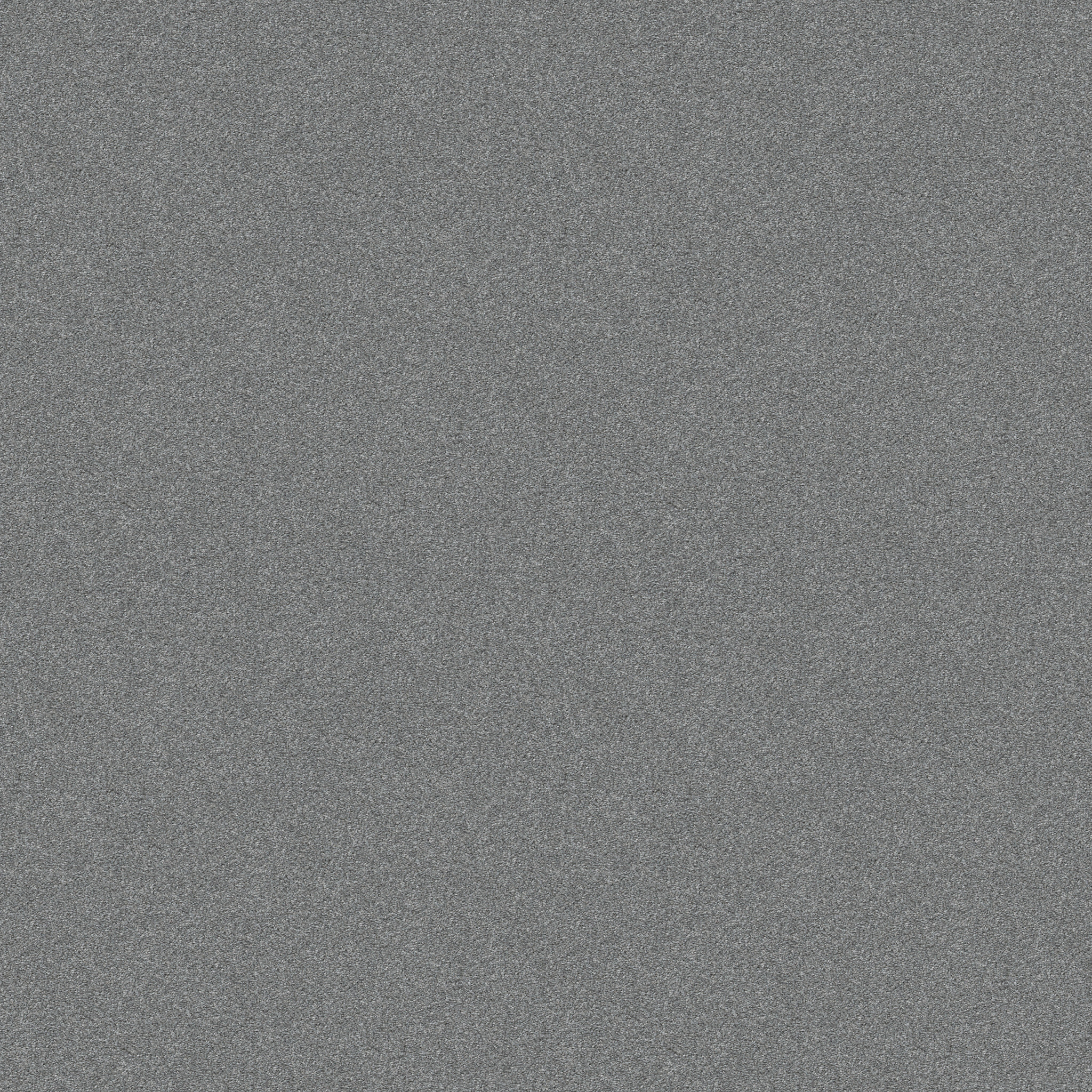 Find your comfort II - Solid DOLPHIN SIGHTIN MAIN