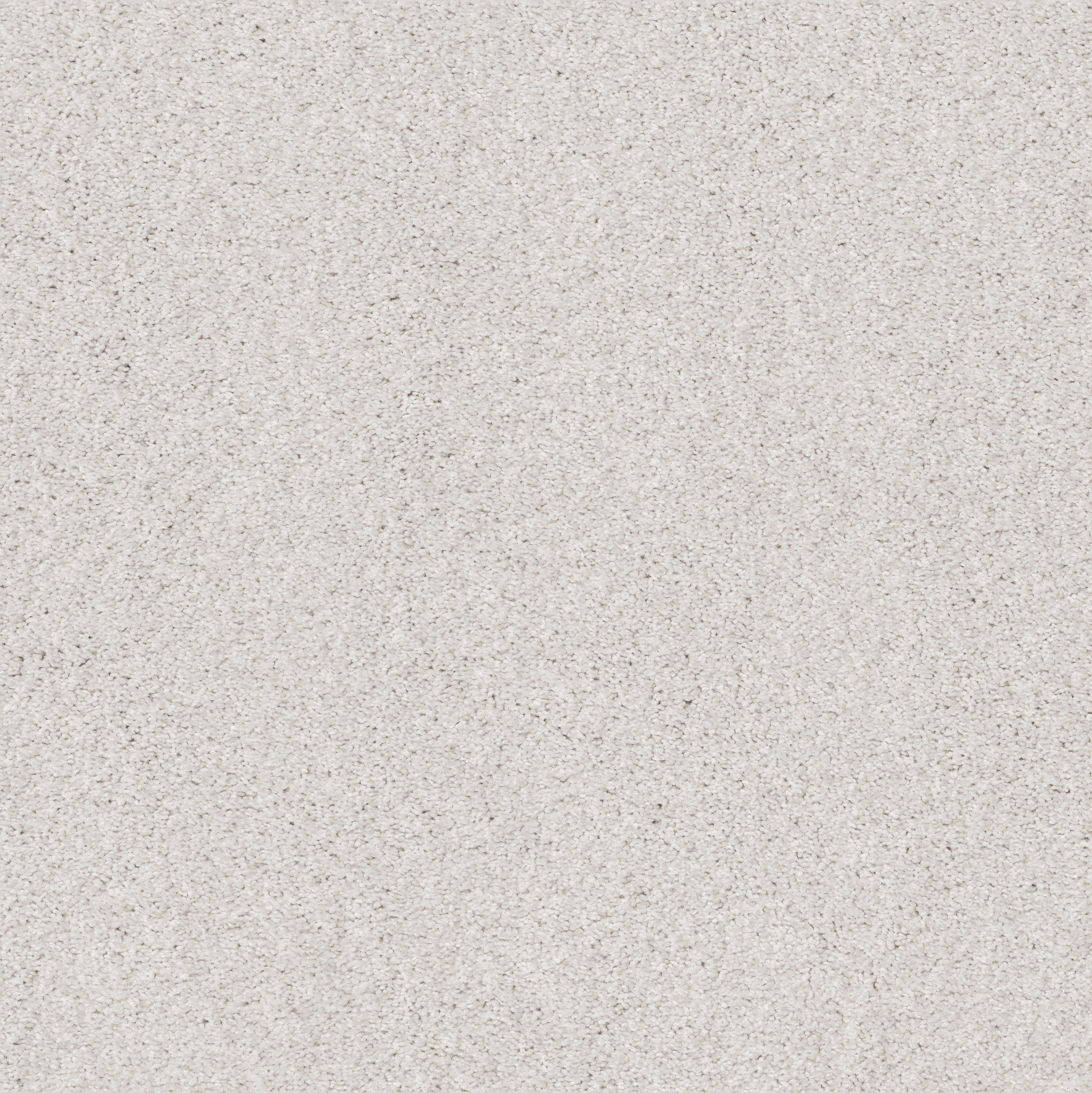 COZY HARBOR I SNOWFALL MAIN