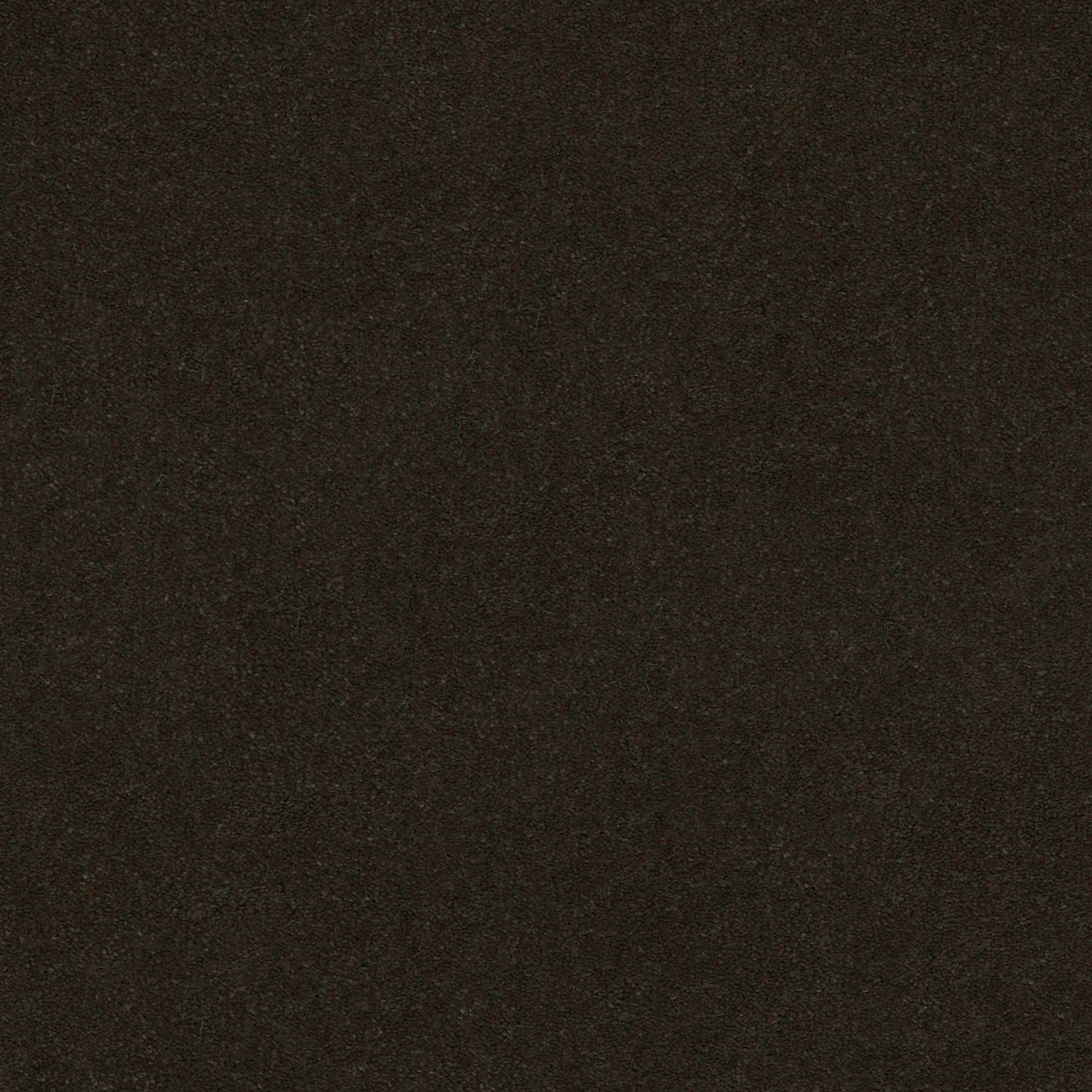 PERFECT CHOICE FIR MAIN