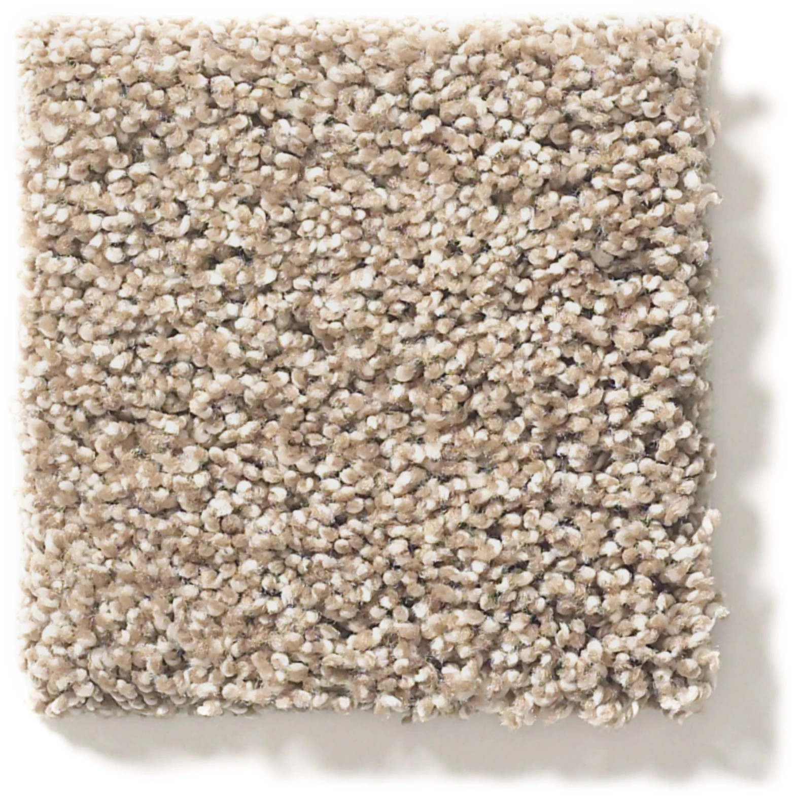 ACROSS THE BAY CARIBOU SWATCH