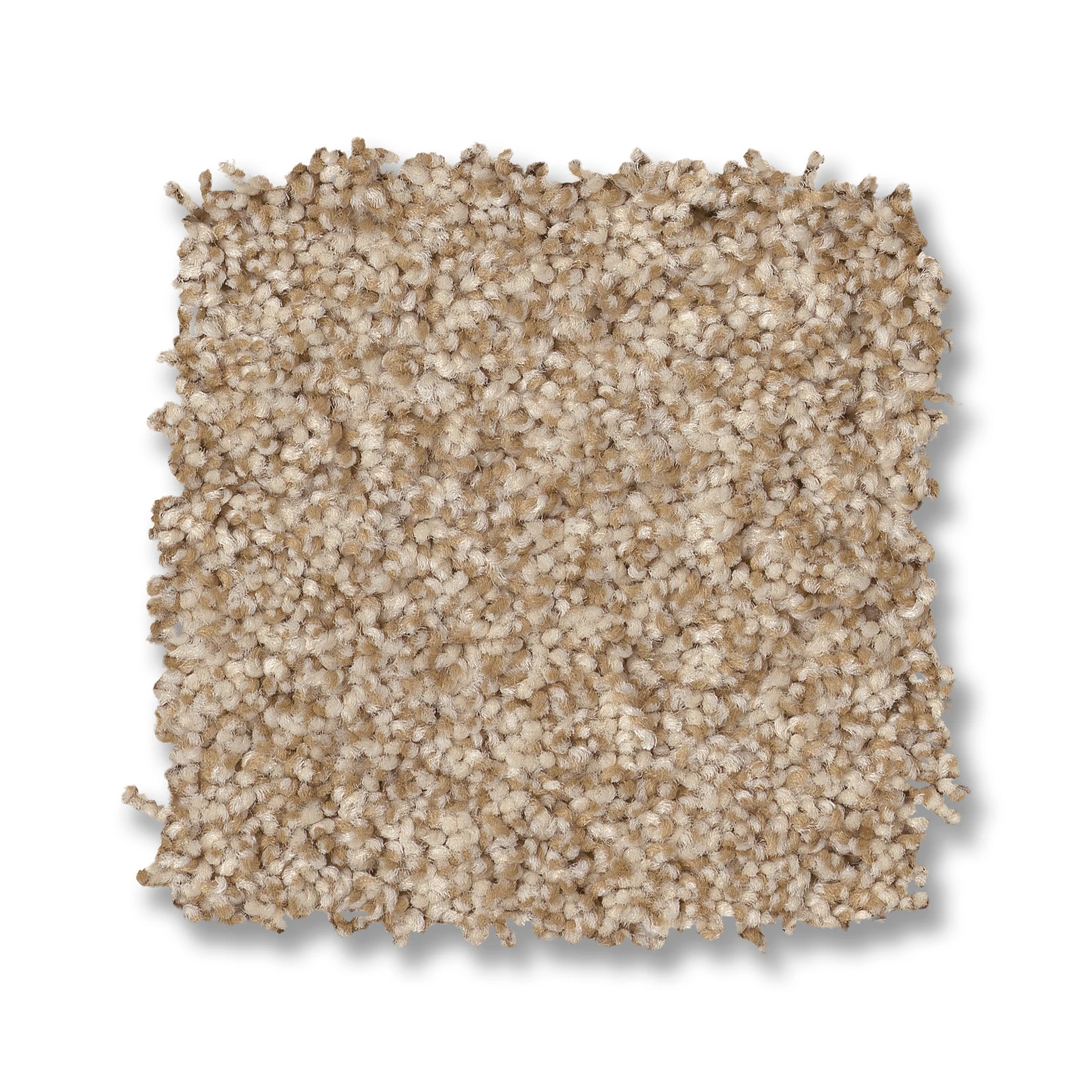 BOSSA NOVA REED SWATCH