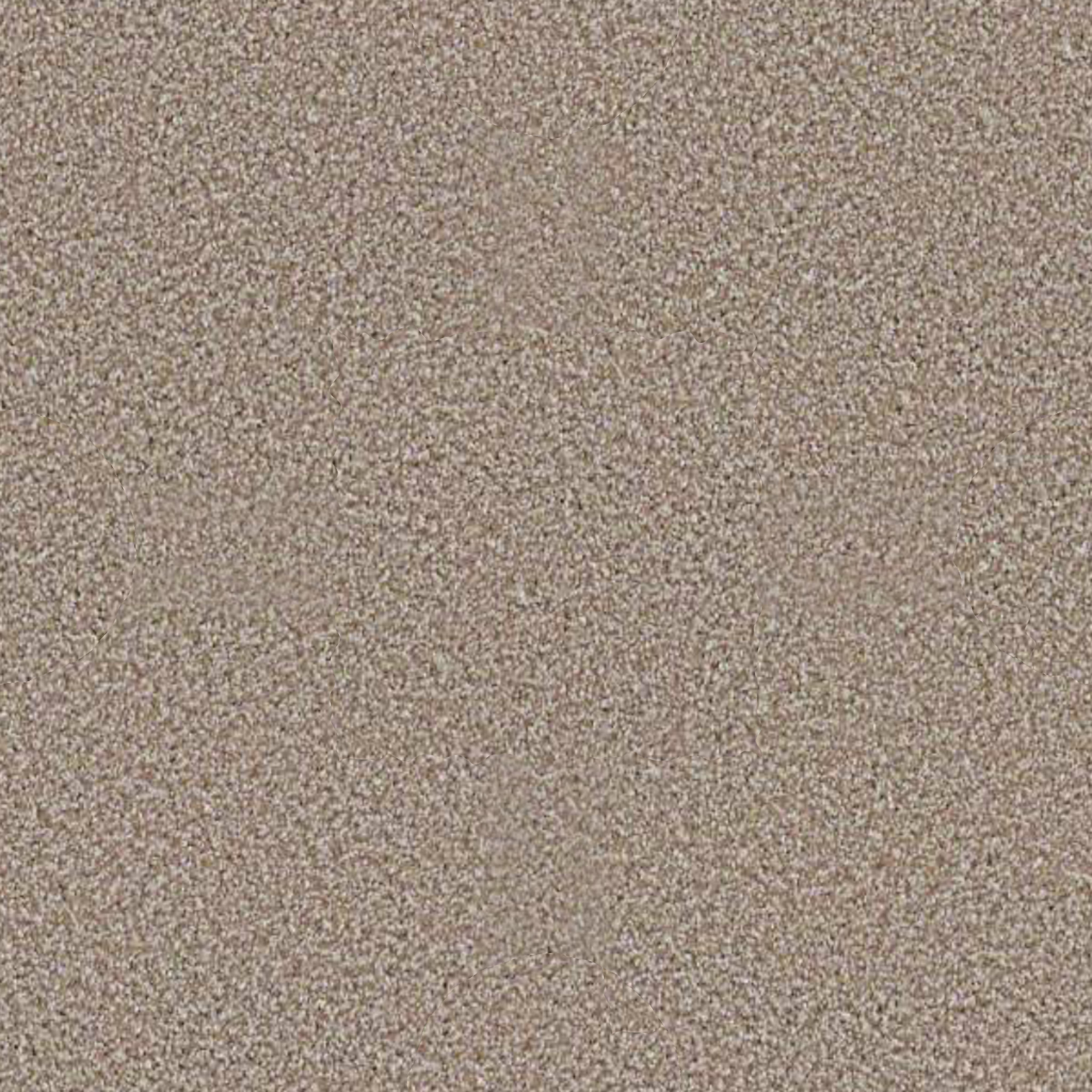 ALWAYS READY I SUMMERVILLE MAIN