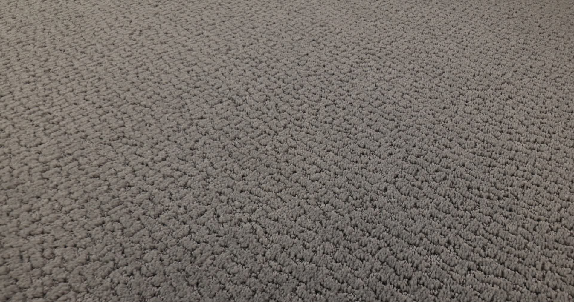 STUDIO SET LUNAR HAZE 360PROD