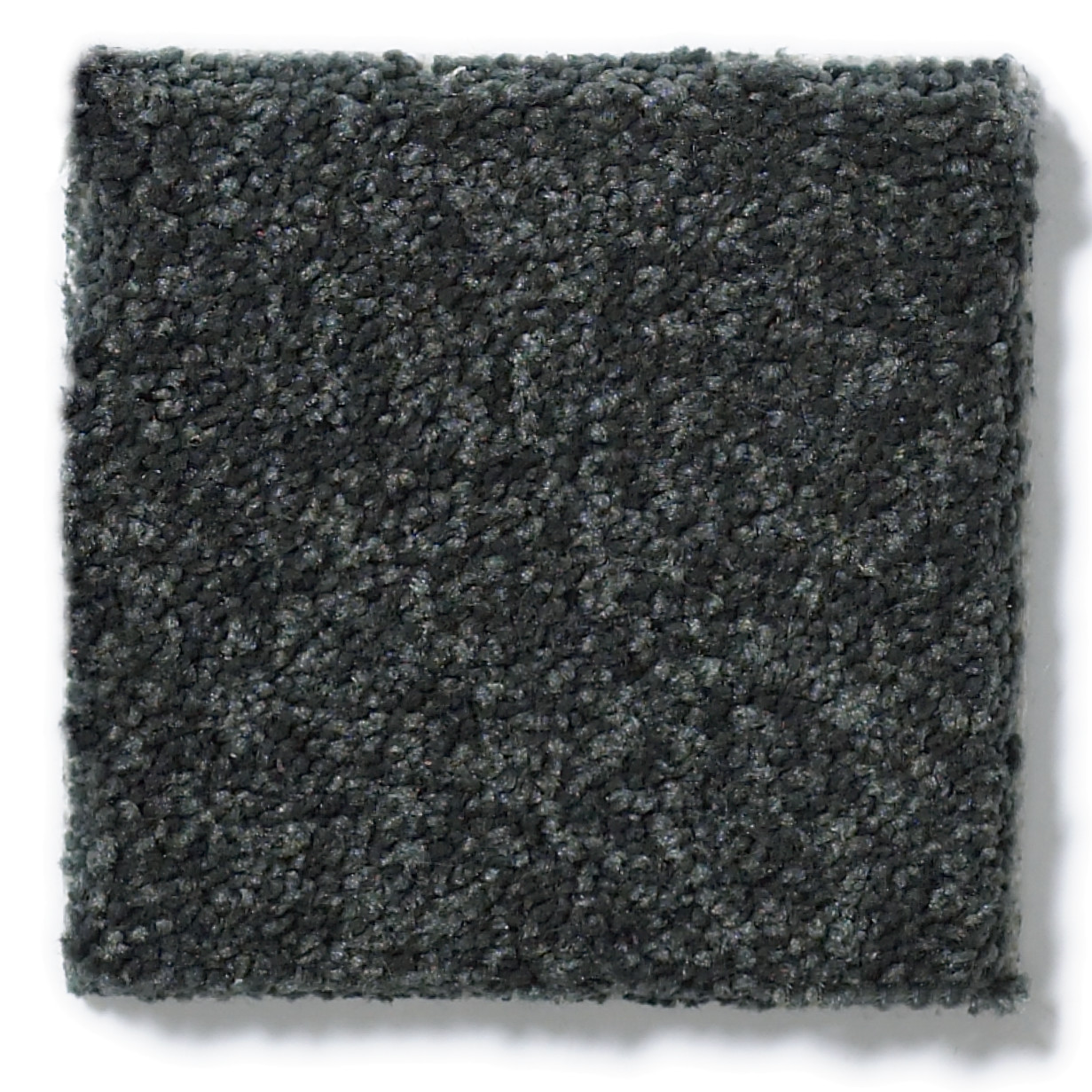 SHINGLE CREEK I 12 LAGOON SWATCH