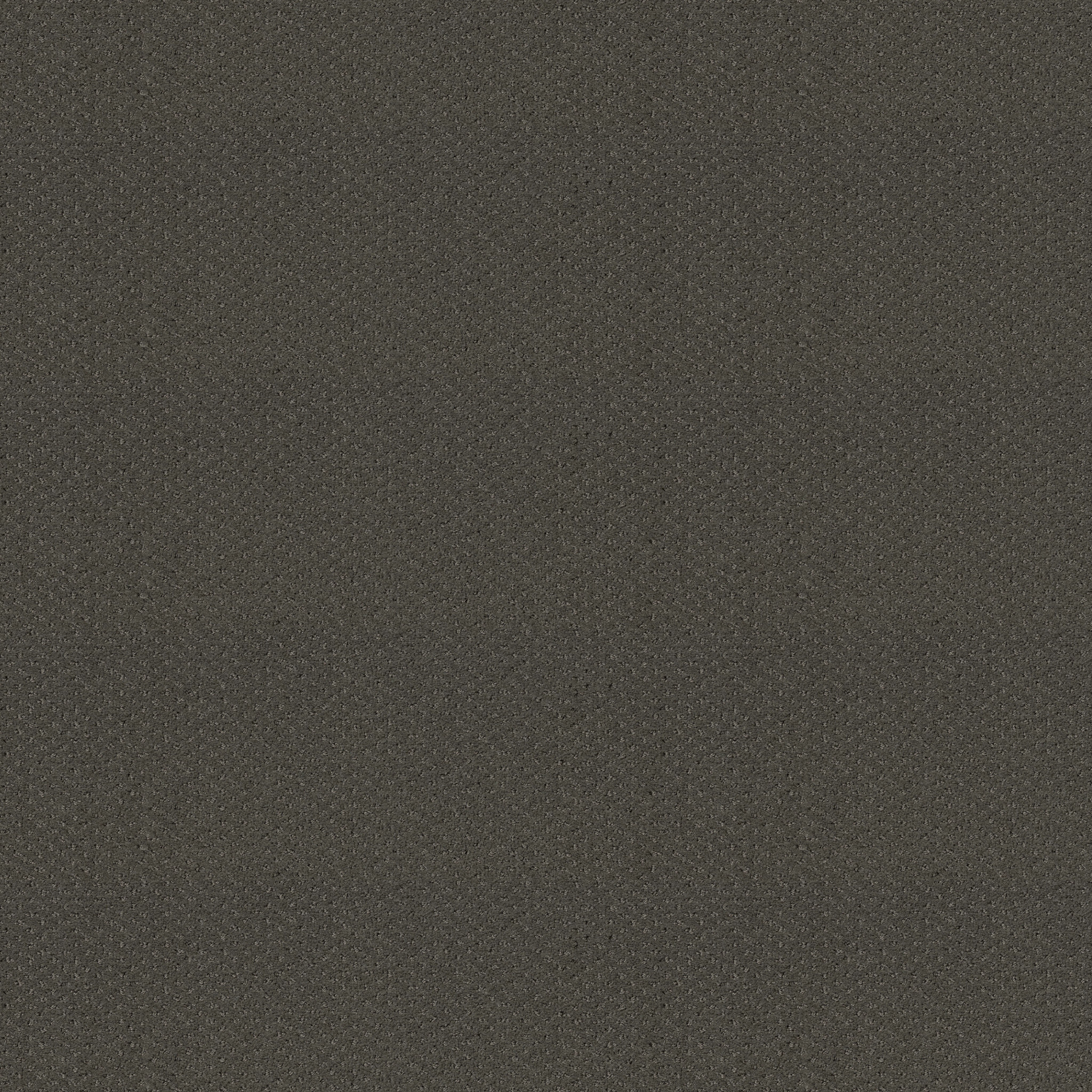 LIFE LESSONS GRAPHITE MAIN