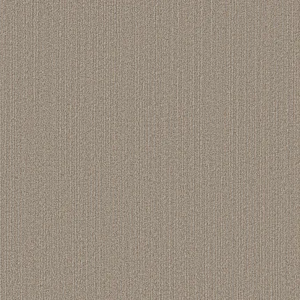 Durable and Easy-to-Maintain Beige Carpet for Everyday Comfort Textured beige carpet swatch with subtle linear pattern, ideal for adding warmth and comfort to any home setting