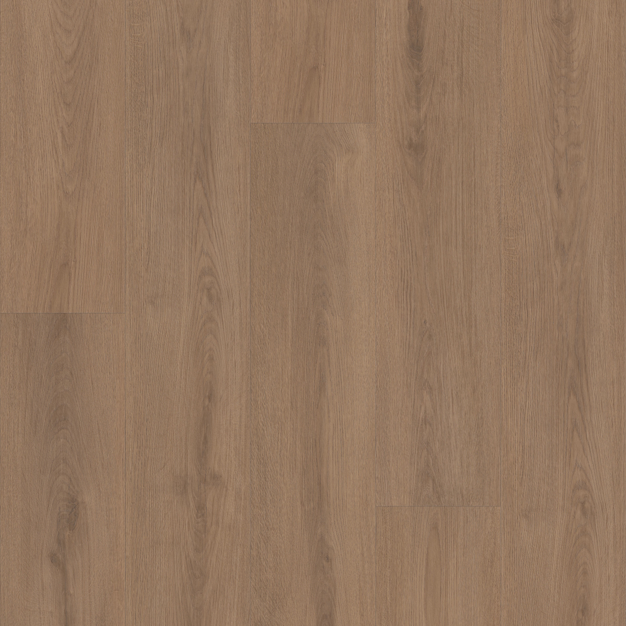 【値下げ】4175 pebble 800x2600 Ascent Nb - in Dwell | Shaw Floors
