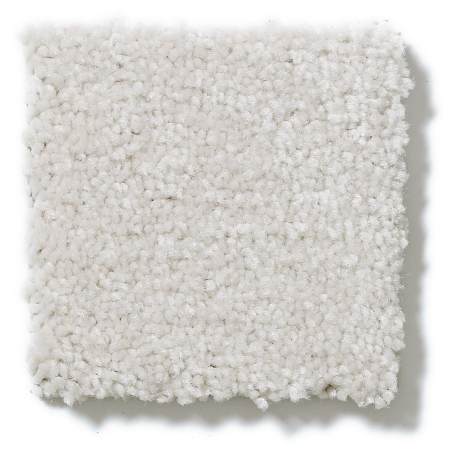 CHALLENGE ACCEPTED I 12' FRESCO SWATCH