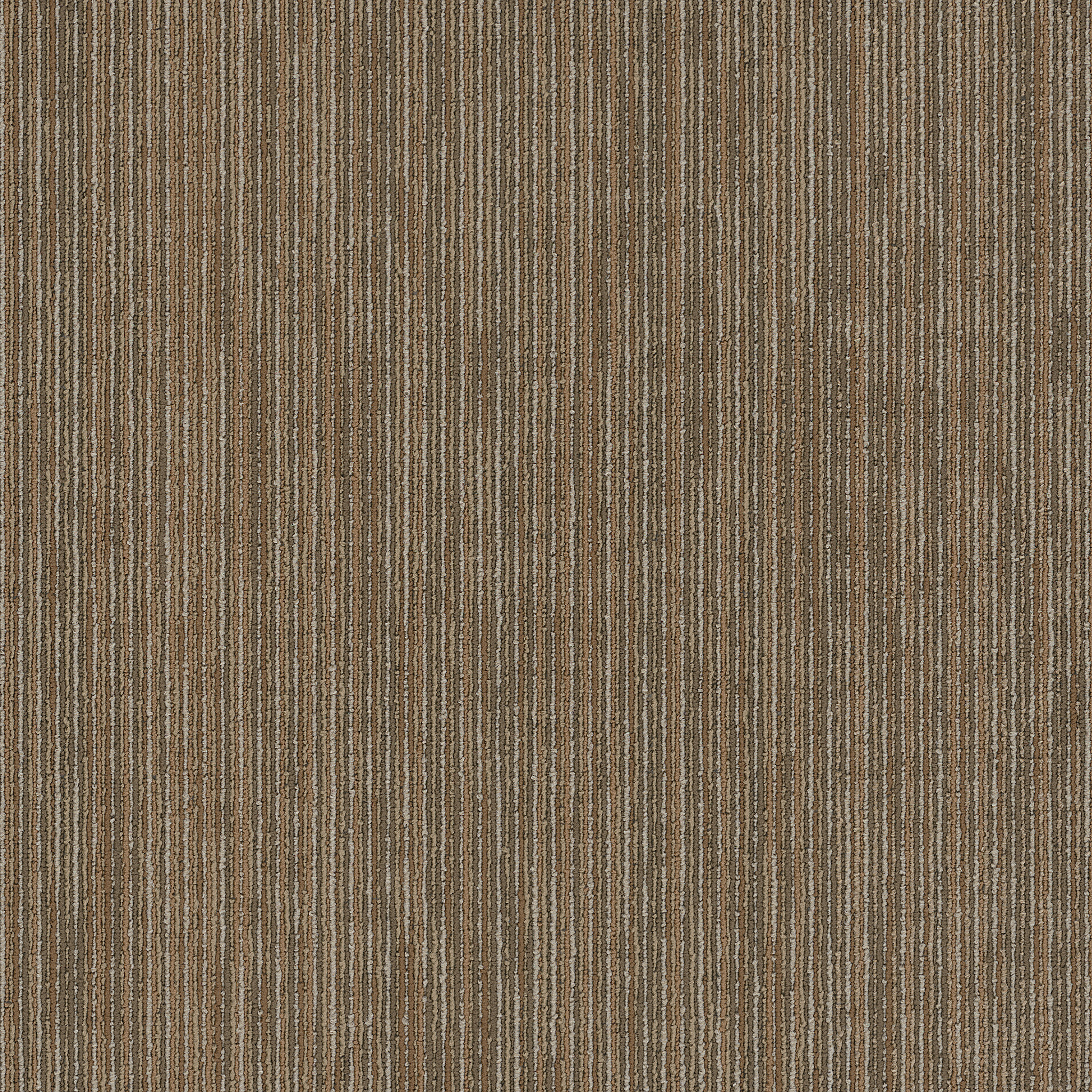 OFF-BEAT-54896-RAW-00700-main-image