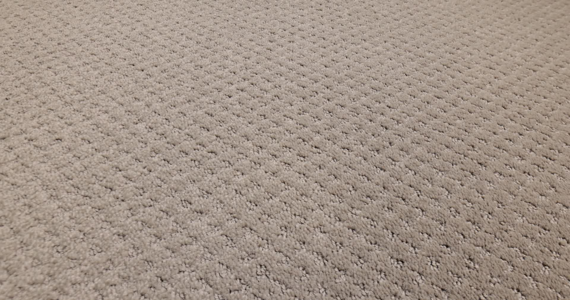 DEL VISTA SHITAKE 360PROD