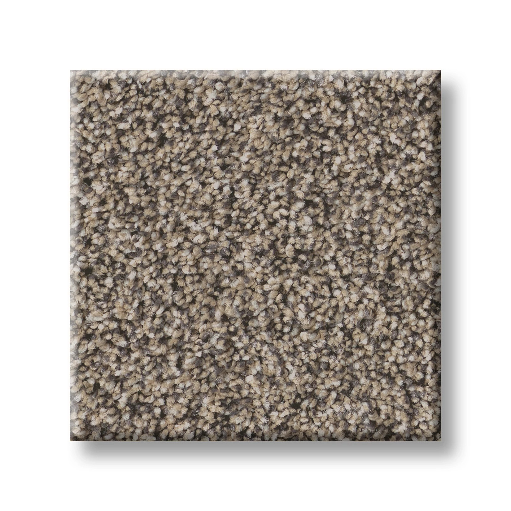 ARTISTIC FUSION II SEA SHELL SWATCH