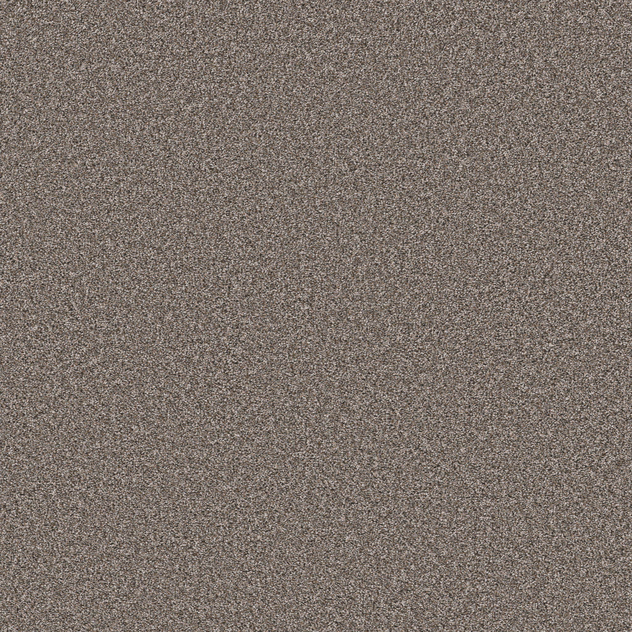 REMIXED CLASSIC NATURE TRAIL MAIN