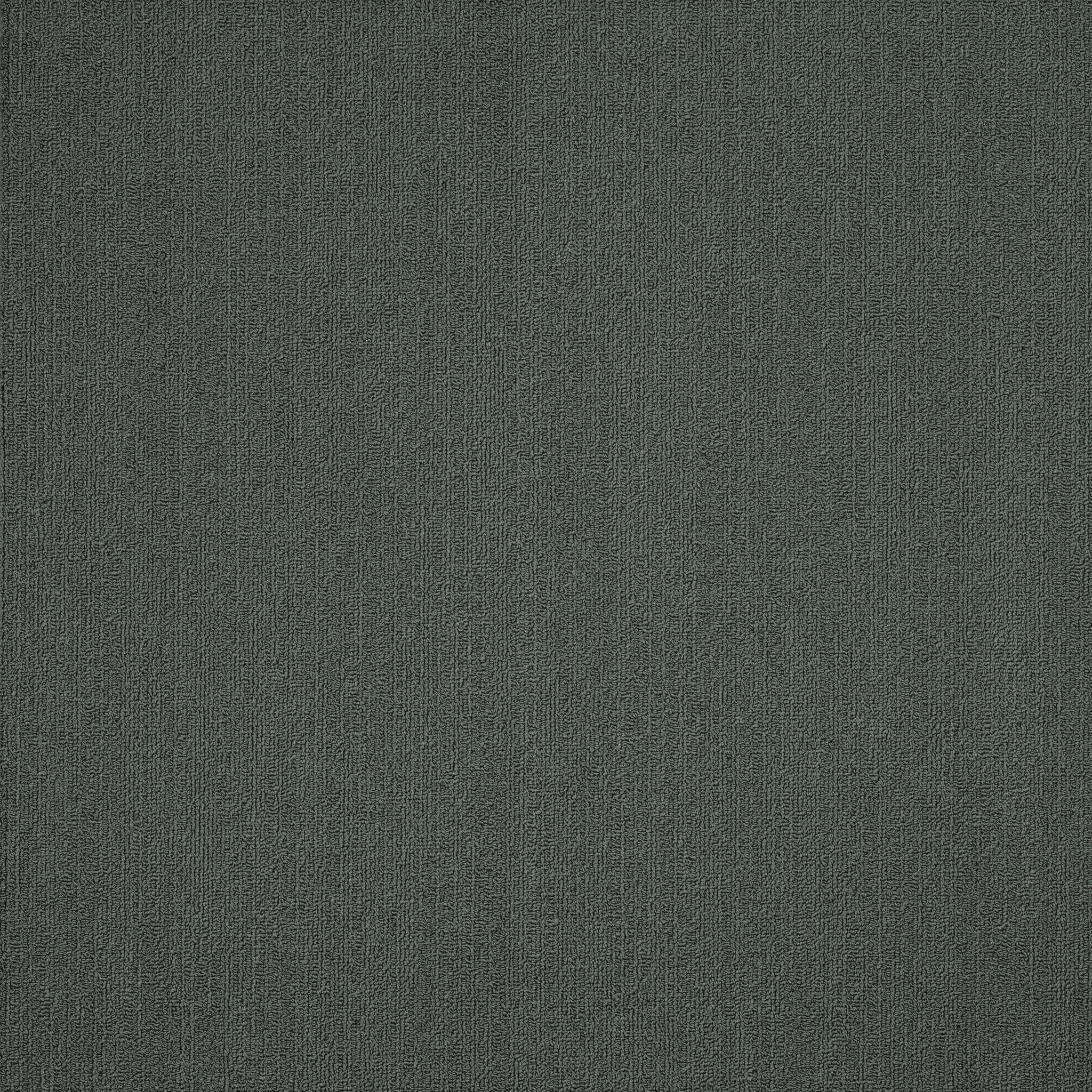 COLOR-ACCENTS-54462-EUCALYPTUS-62320-main-image