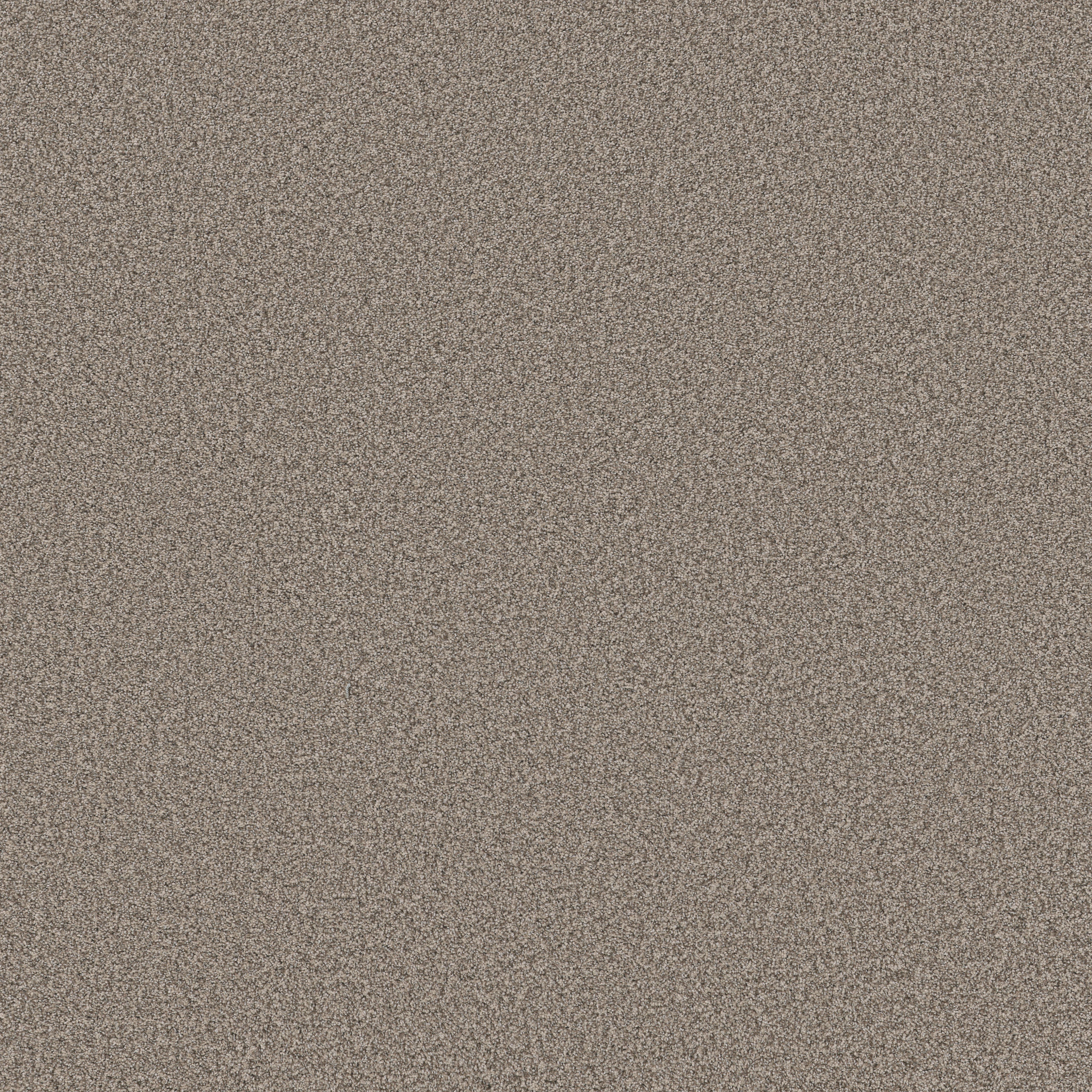 FABULOUS PASHMINA MAIN