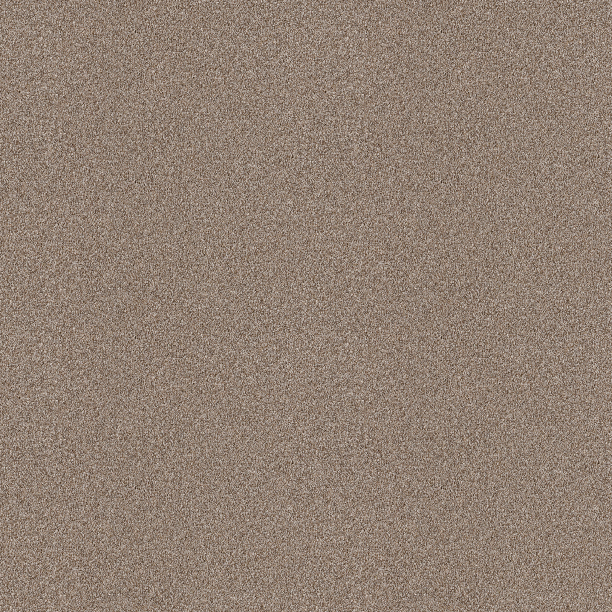 ATTAINABLE GRECIAN TAN MAIN