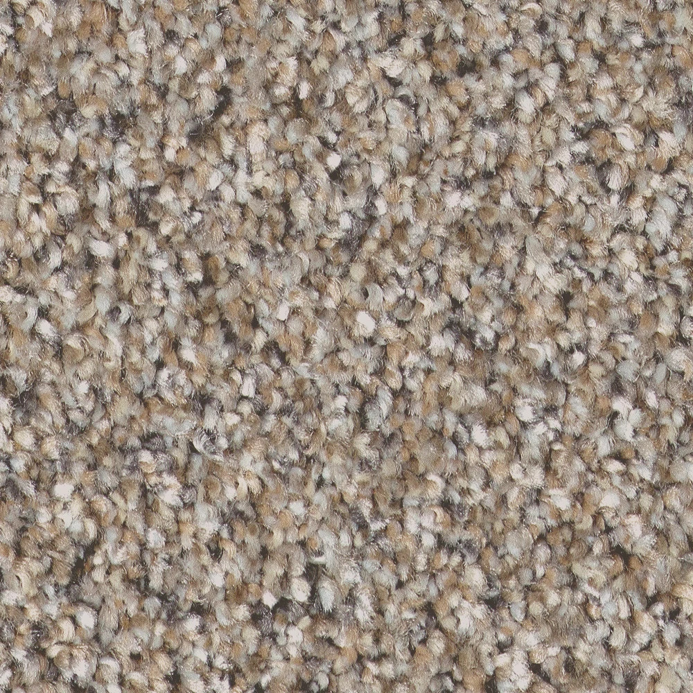 REFINED BEAUTY NUTRIA SWATCH