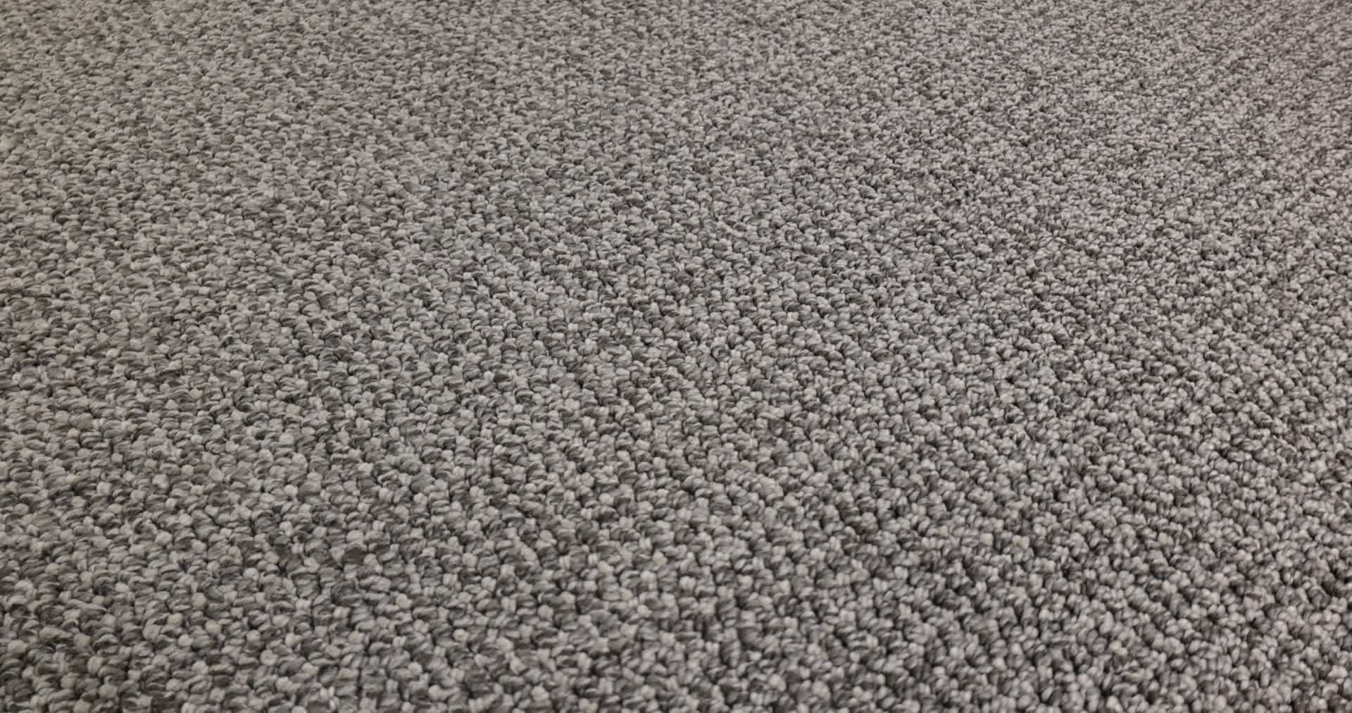 PURRFECTION WILLOW 360PROD