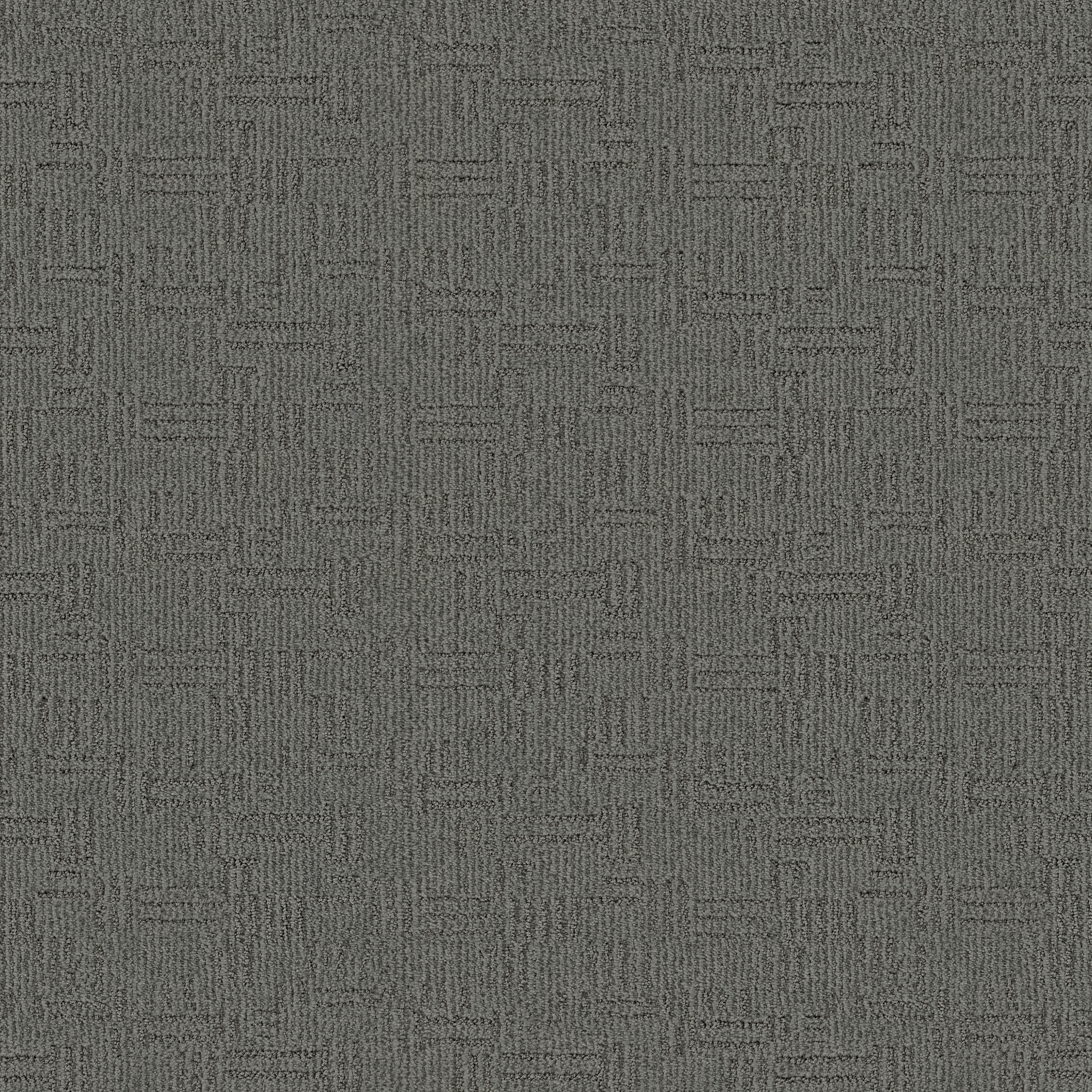 DIEGO ENCHANTED MAIN