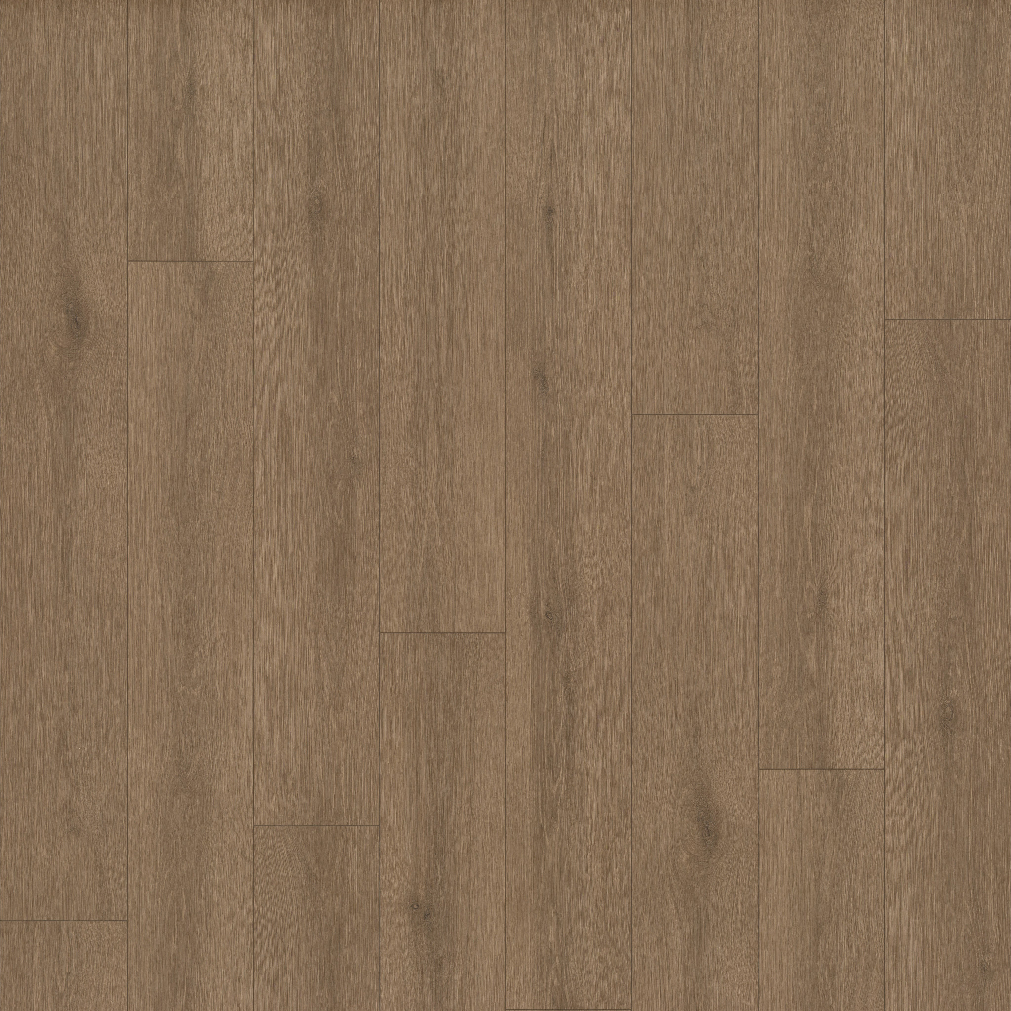 INDWELL-II-SHEET-5726V-SEPIA-BROWN-07313-main-image