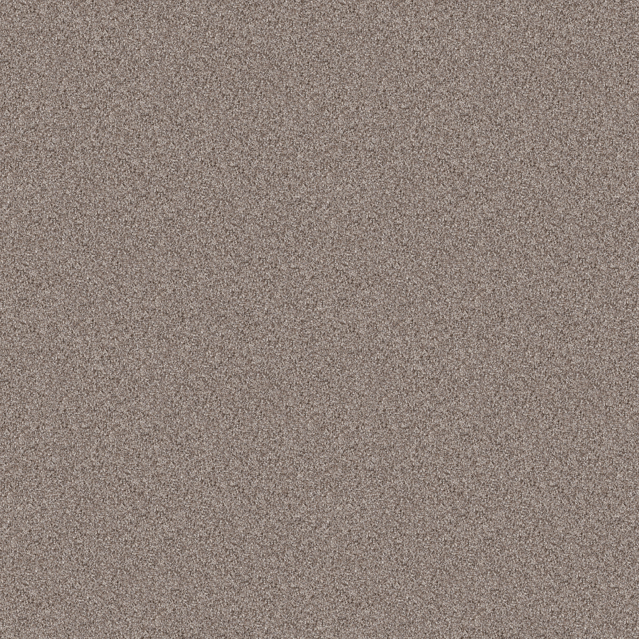 INFLUENCER CHESTNUT MAIN