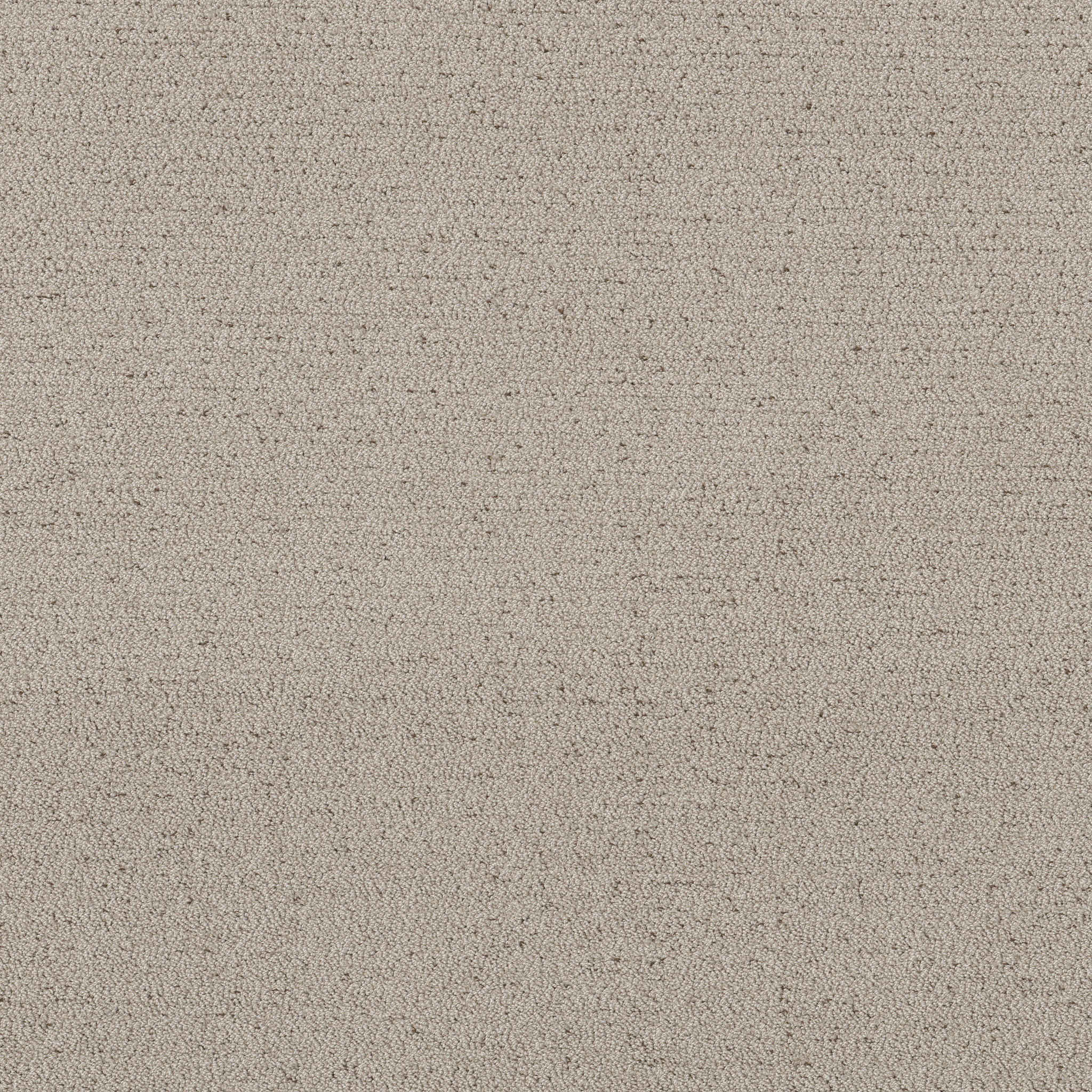 Intricate Trace RIVER BIRCH MAIN