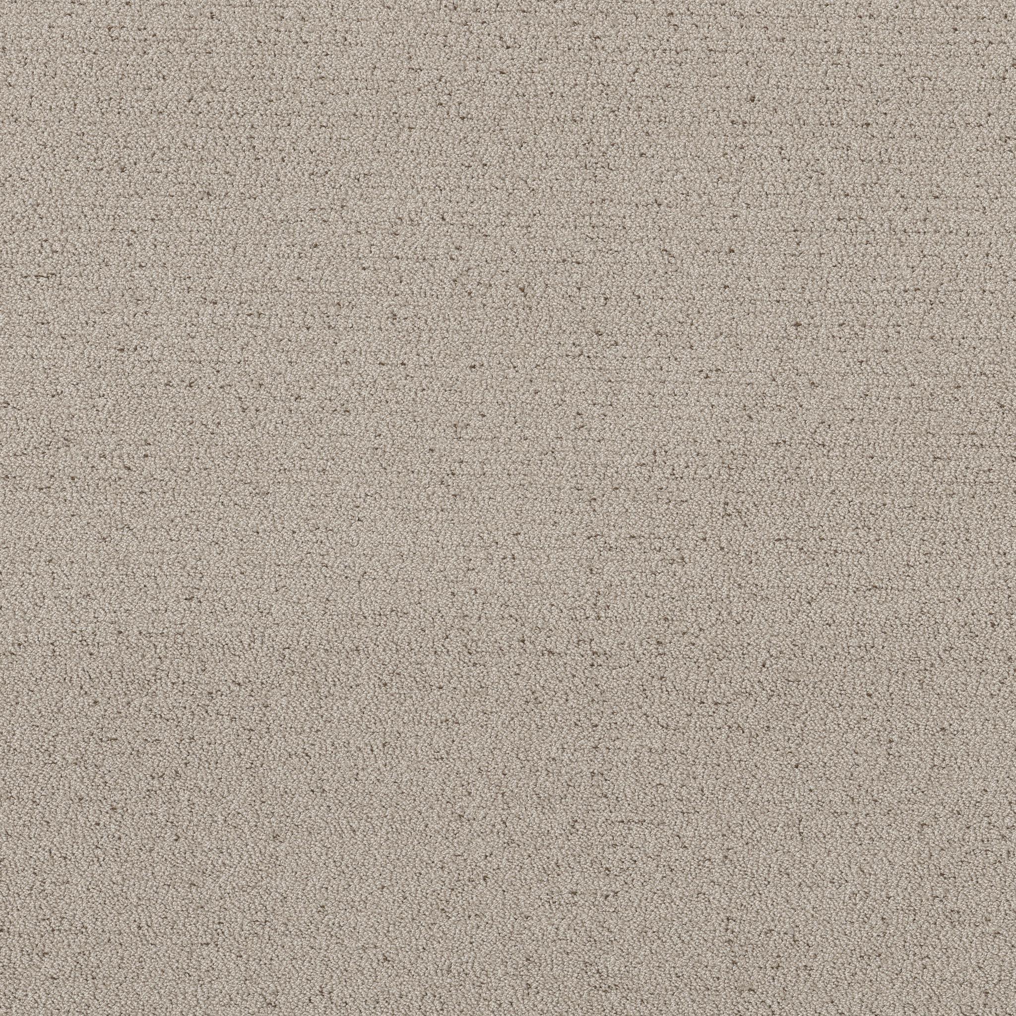 Intricate Trace in River Birch